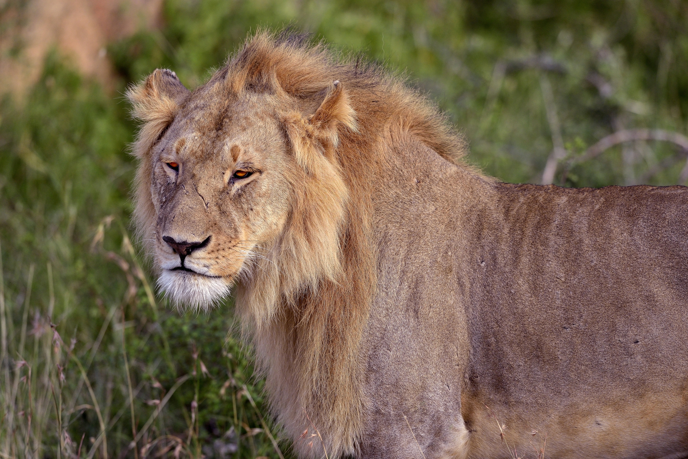 Tanzania 2015 - ....Leo