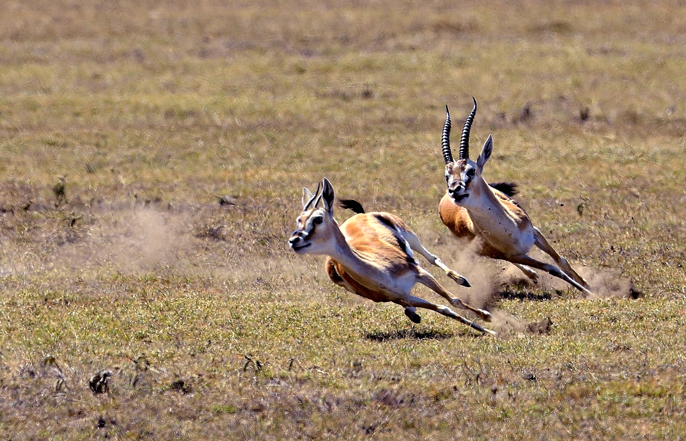 Tanzania 2015 - Ti voglio!!! 2