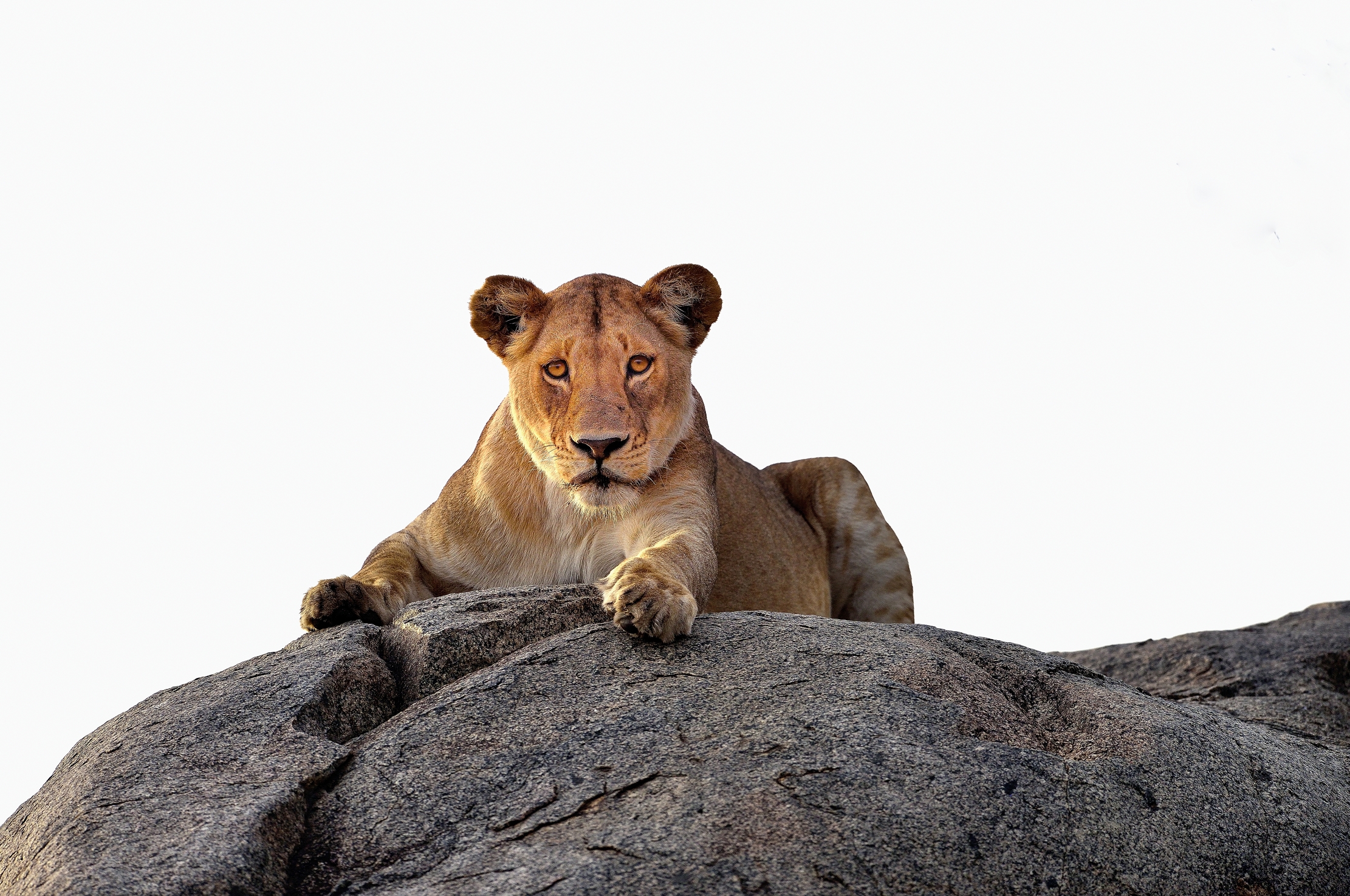 Tanzania 2015 - Occhio!