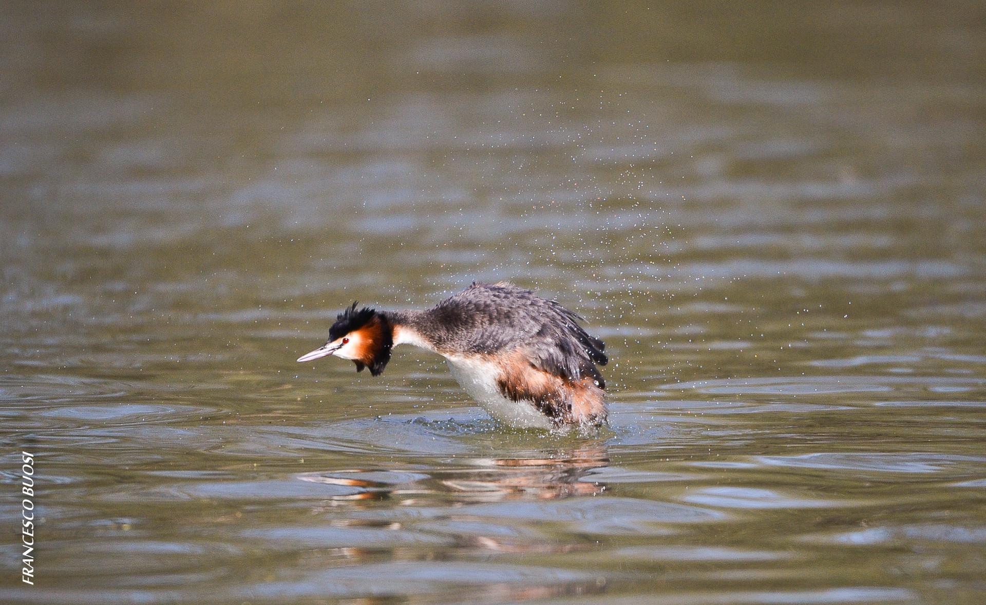 I squeeze everything