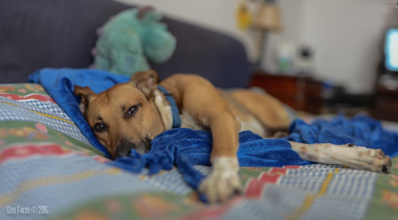 Chili according to The Brenizer Method