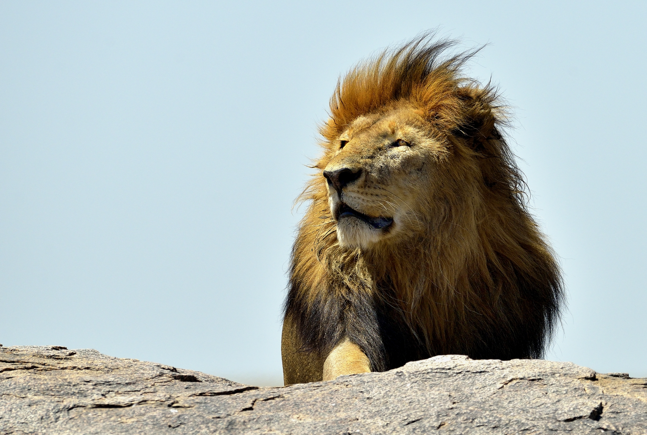 Tanzania 2015 - Con la testa nel vento