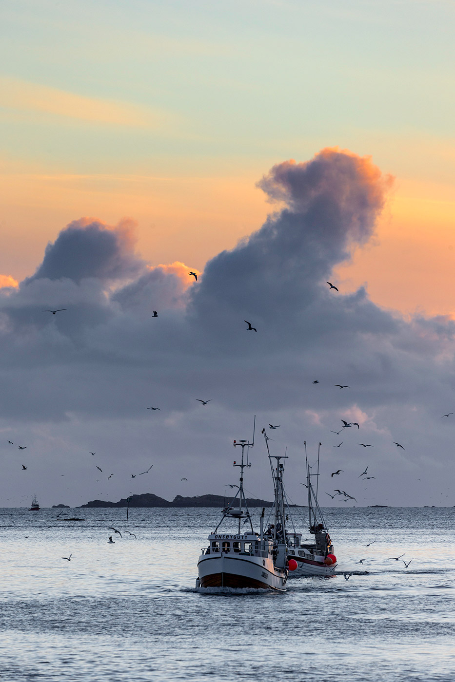 Coming back at sunset