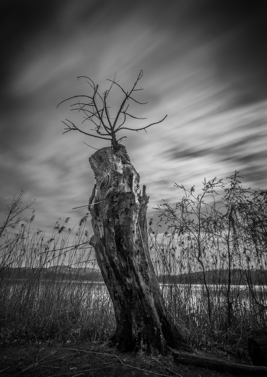 The guardian of the time