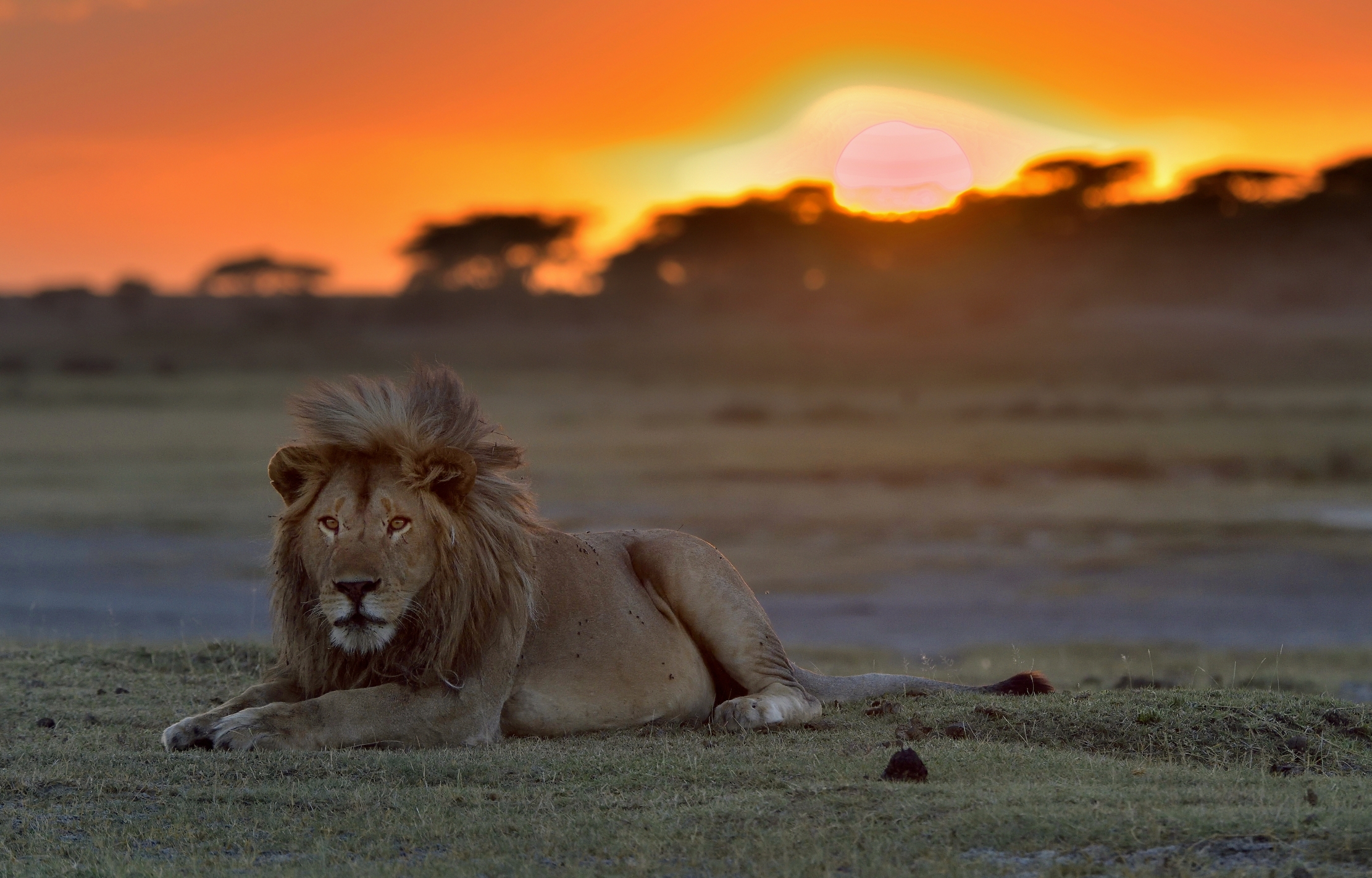 Tanzania 2015 - Al tramonto