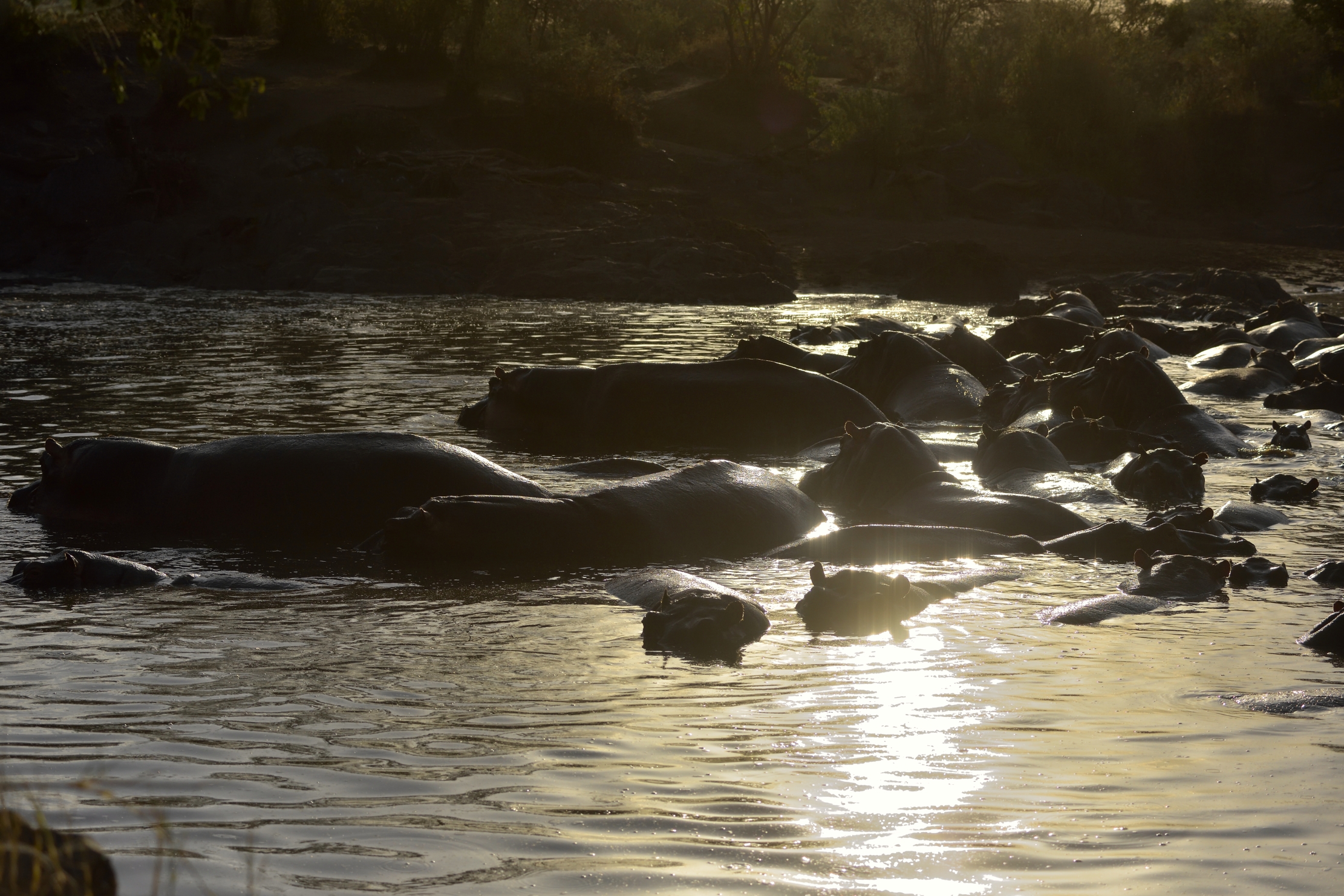 Tanzania 2015 - Al tramonto