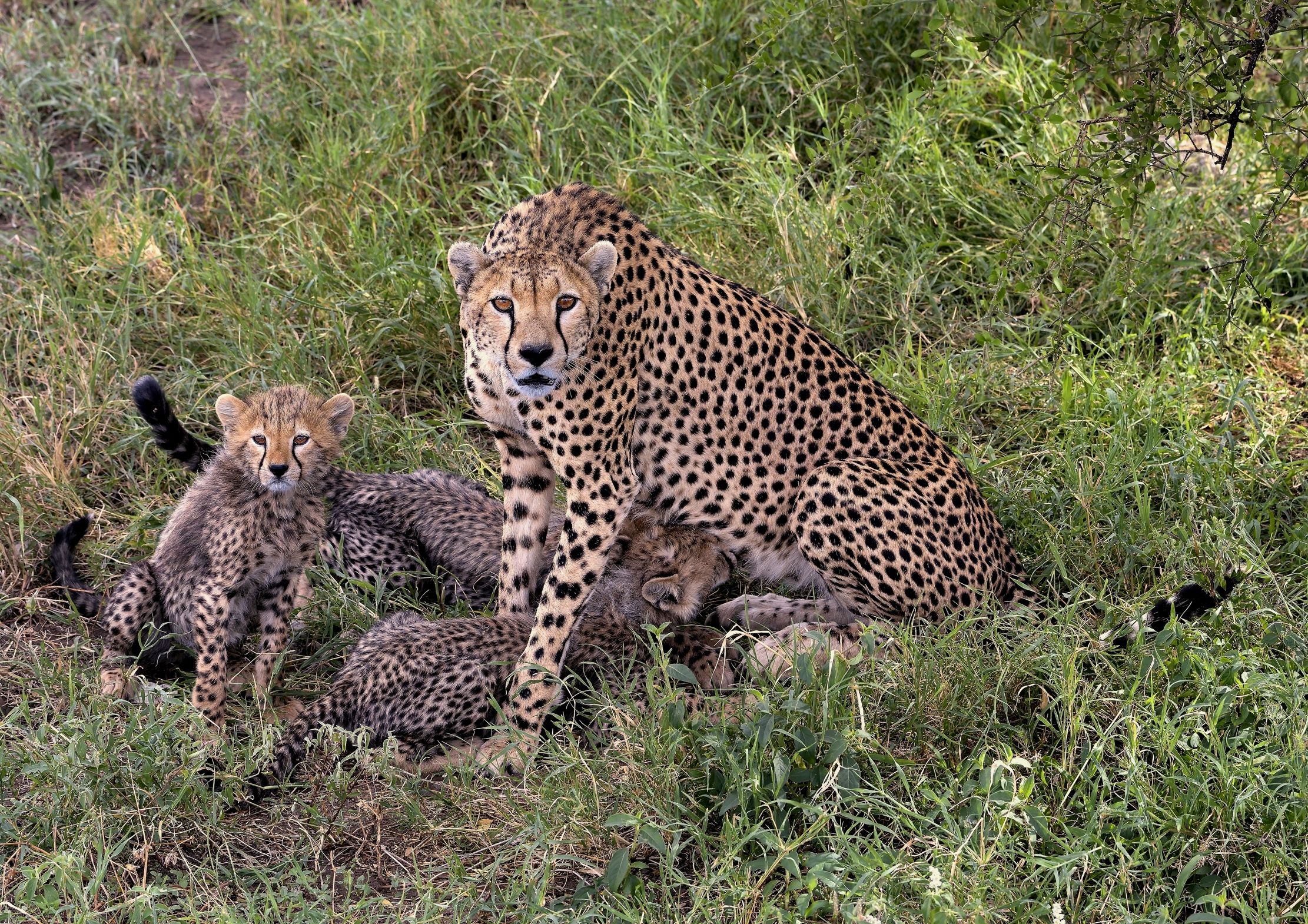 Tanzania 2015 - Che succede??