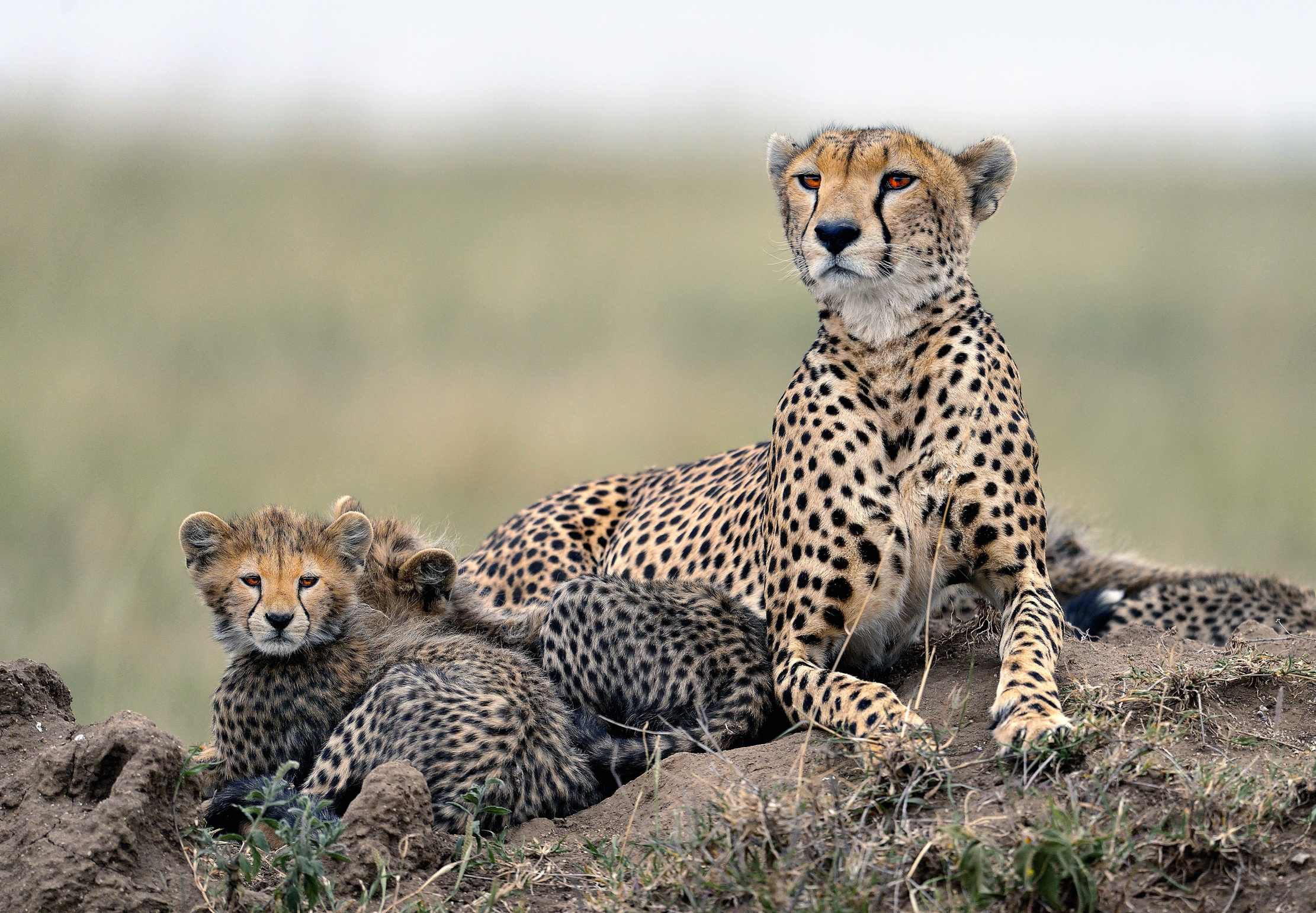 Tanzania 2015 - Together