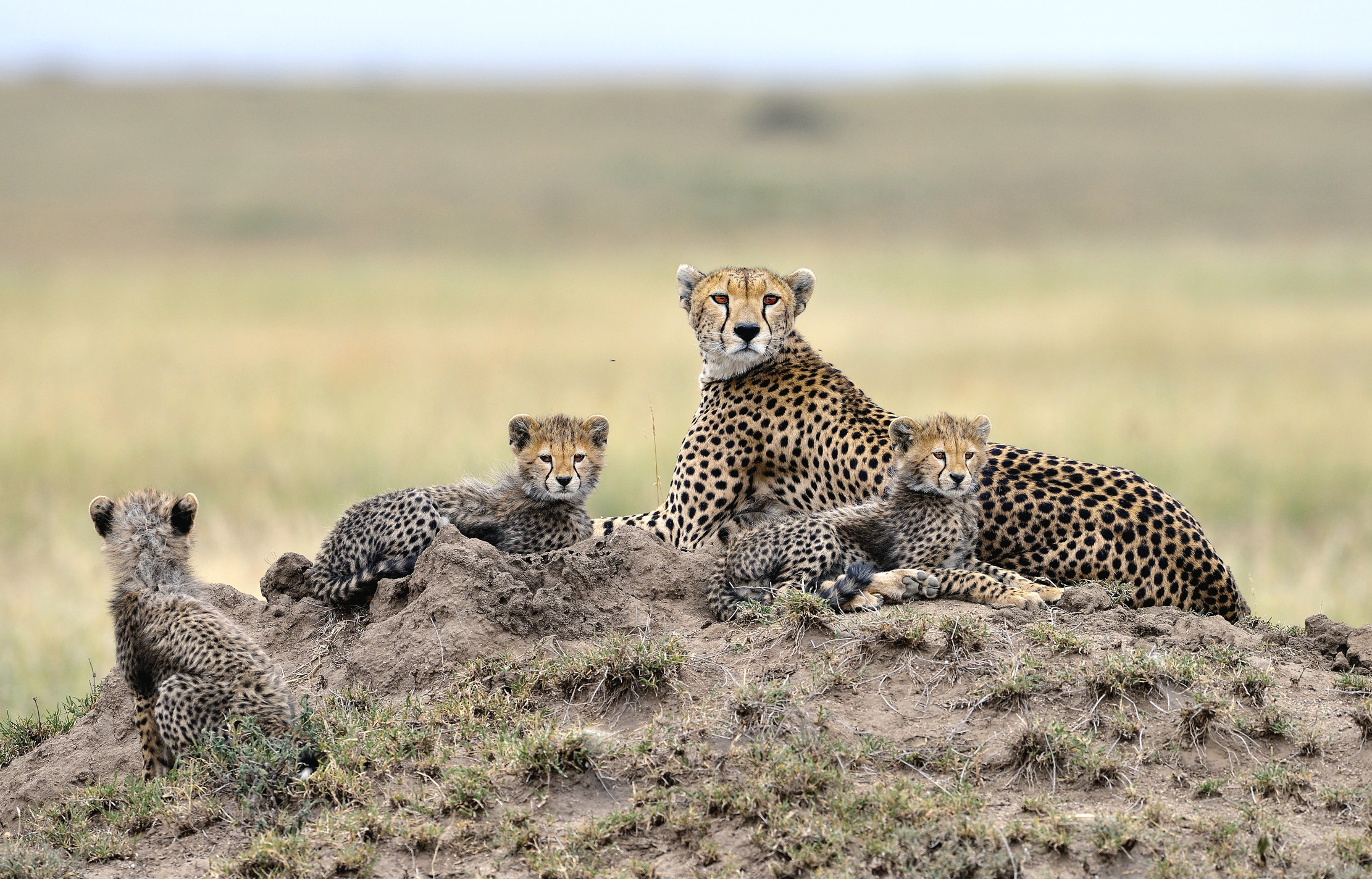 Tanzania 2015 - Portrait