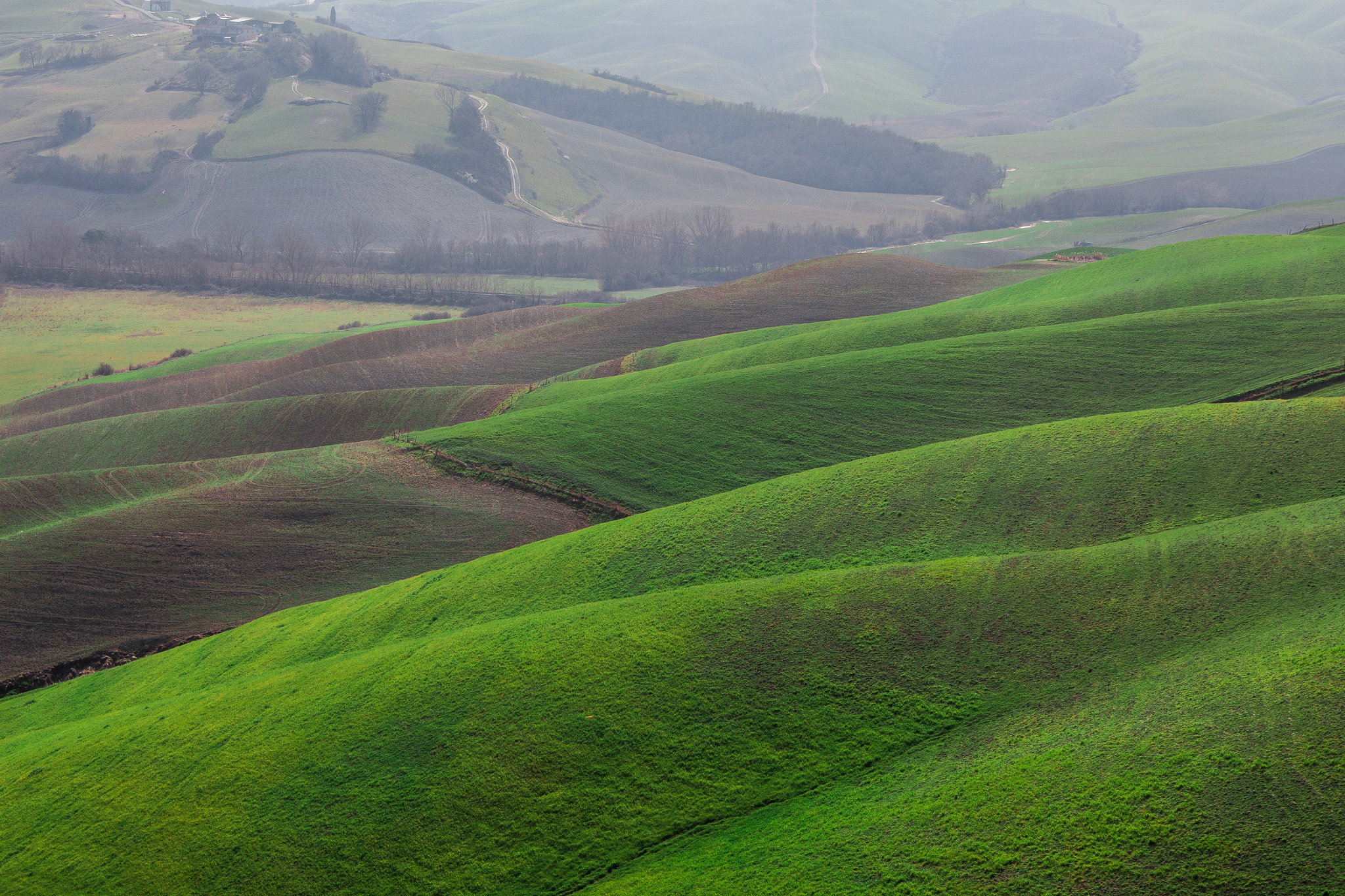Le Dune Senesi