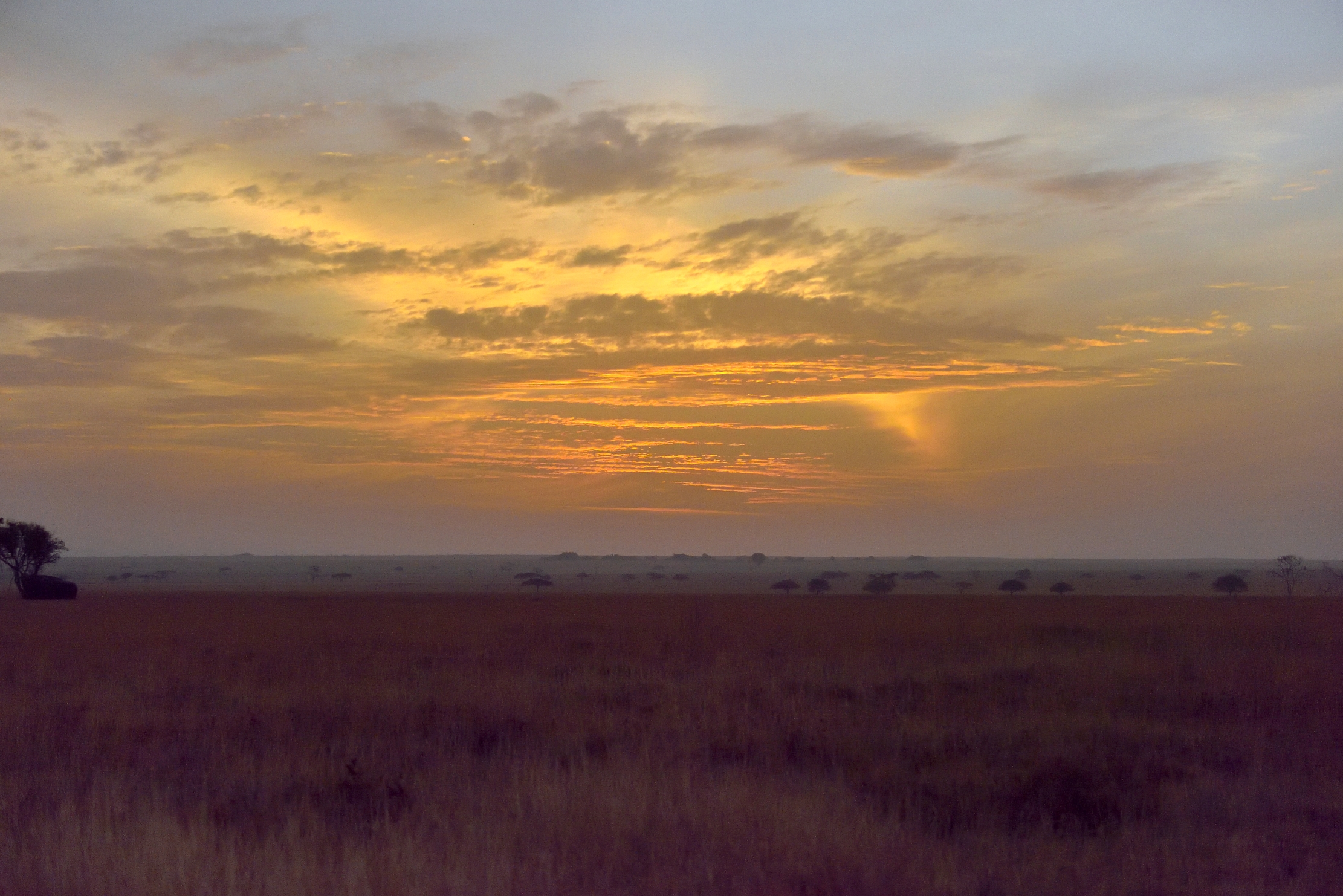 Tanzania 2015 - Alba sul Serengeti
