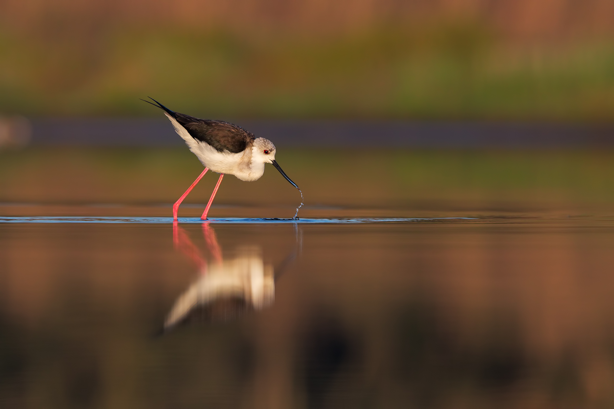 La forza dell' ambientazione