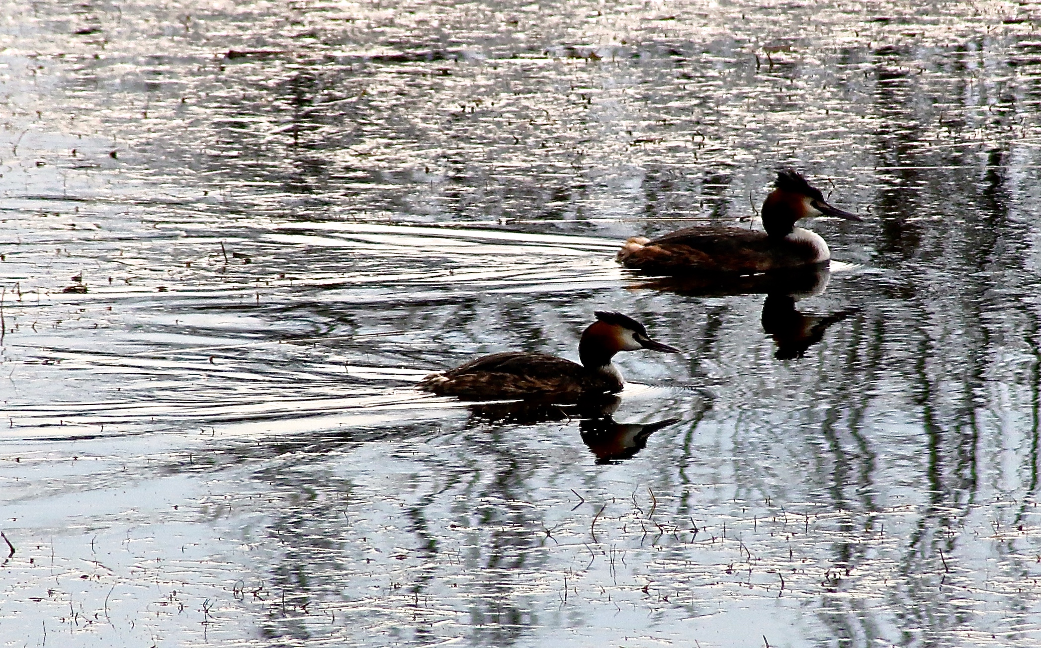 pomeriggio in Brussa