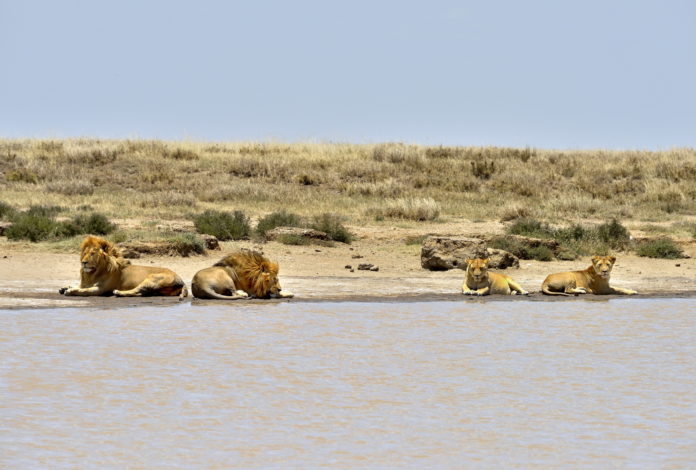 Tanzania 2015 - Doppia Coppia