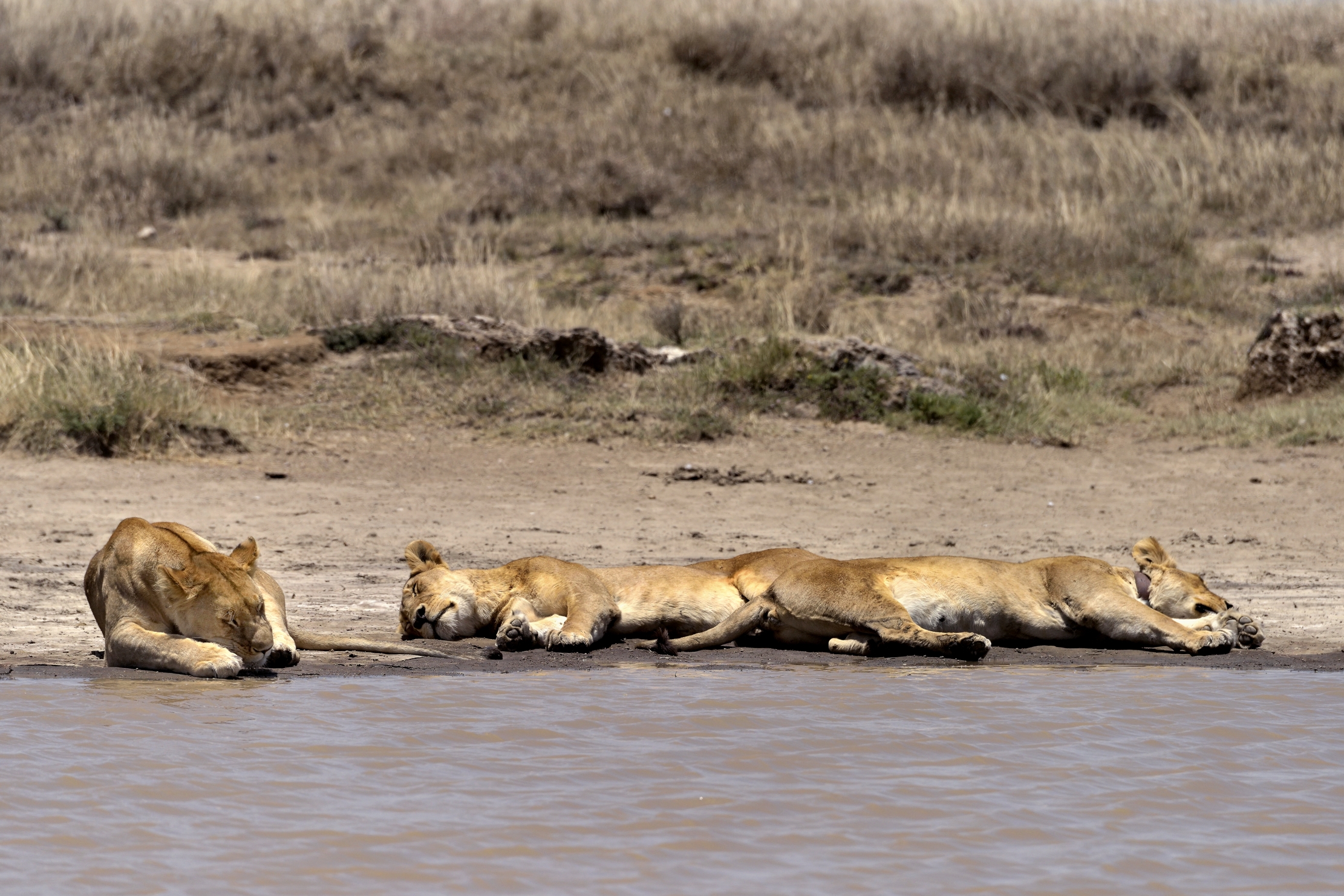 Tanzania 2015 - Al fresco