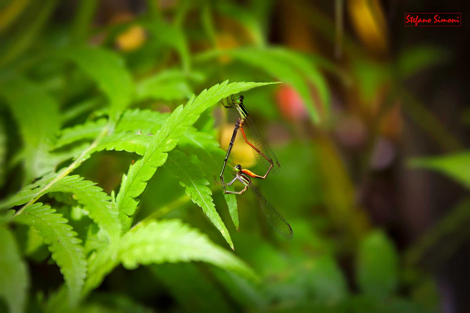 Se solo avessi un macro?.