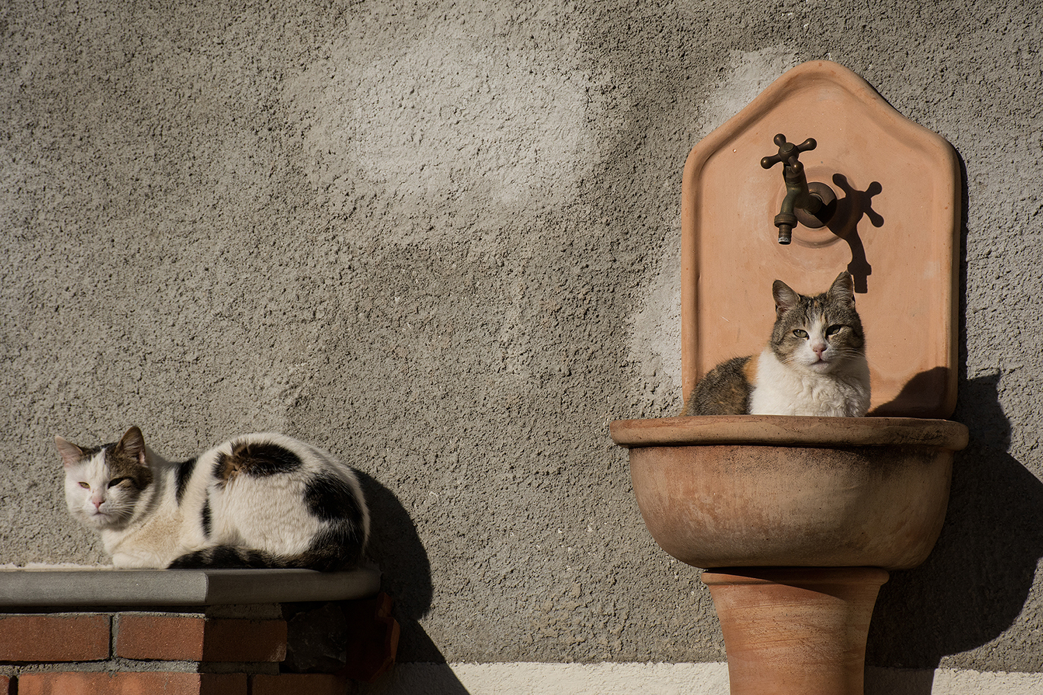 Bagno di sole e poi la doccia