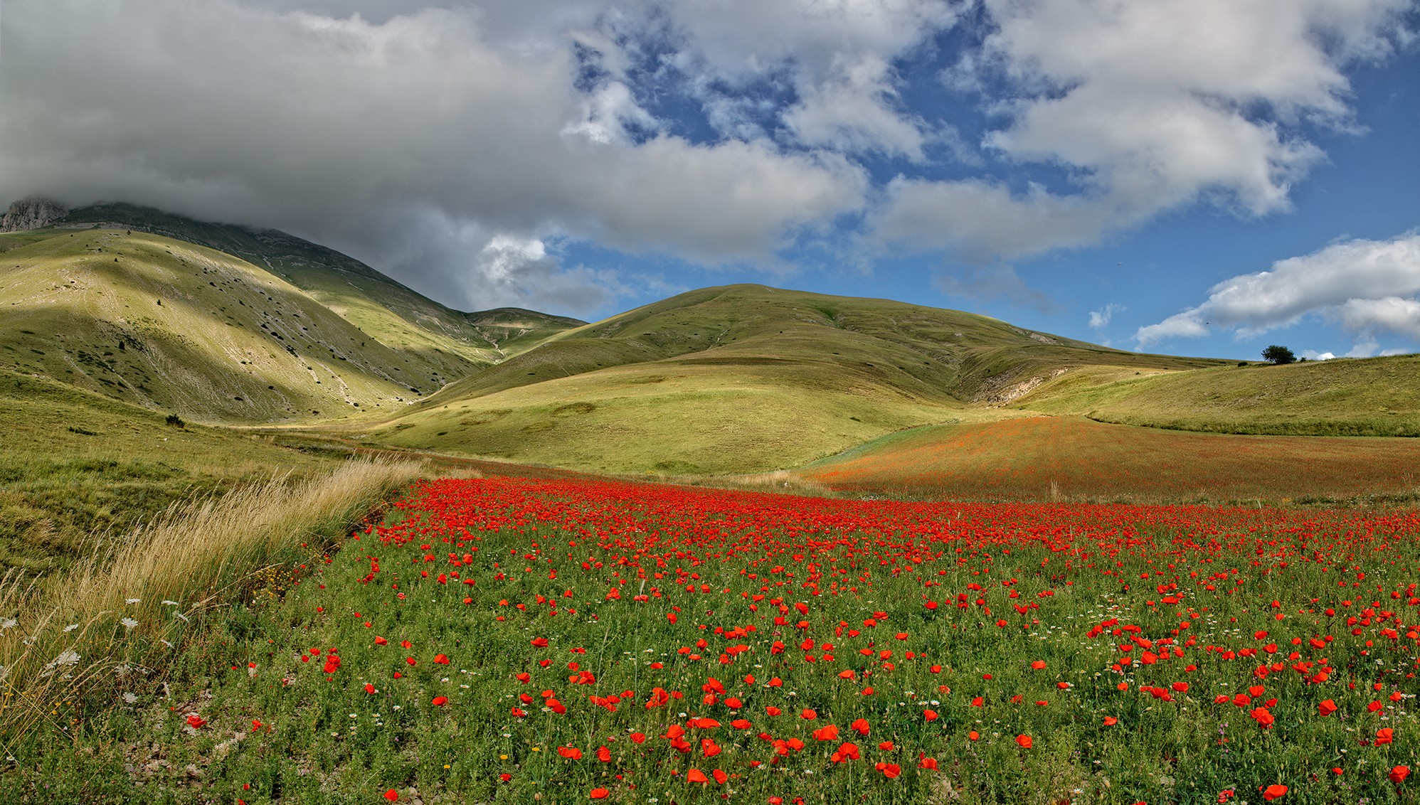 Piana di Castelluccio 5 scatti uniti con Photomerge