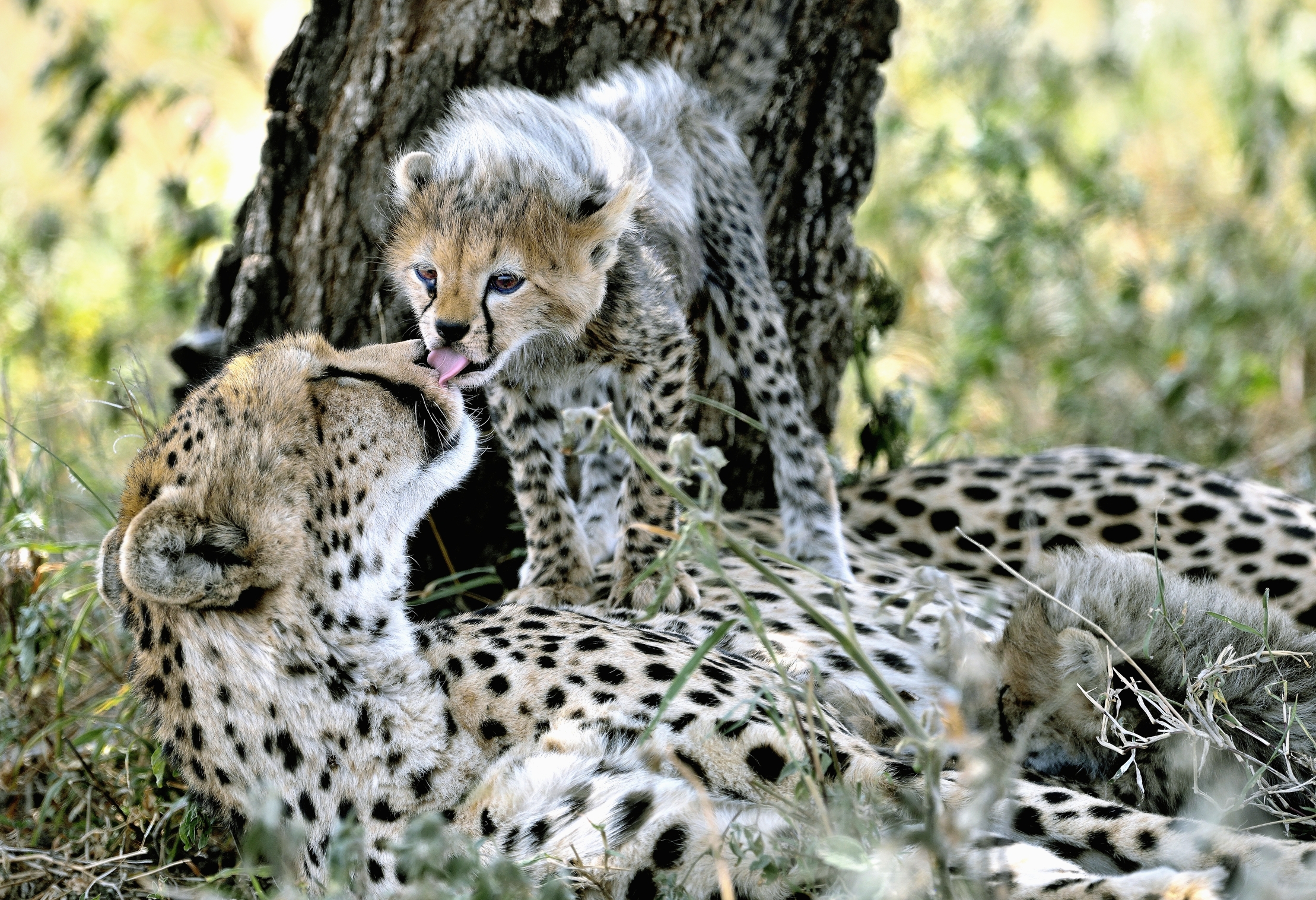 Tanzania 2015 - The basins basins