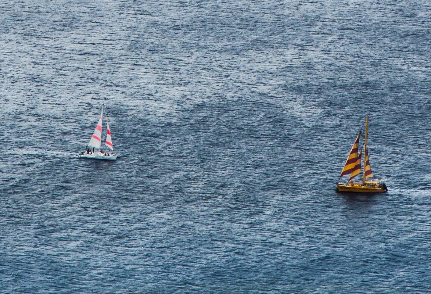 Barche a vela