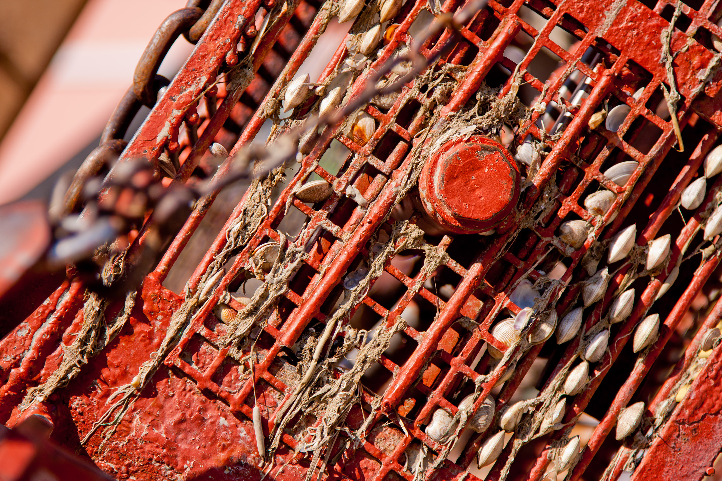 Fishing boat - detail