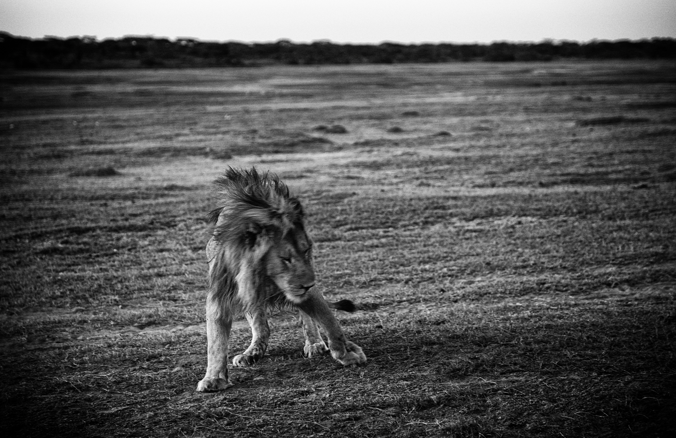 Tanzania 2015 - BW