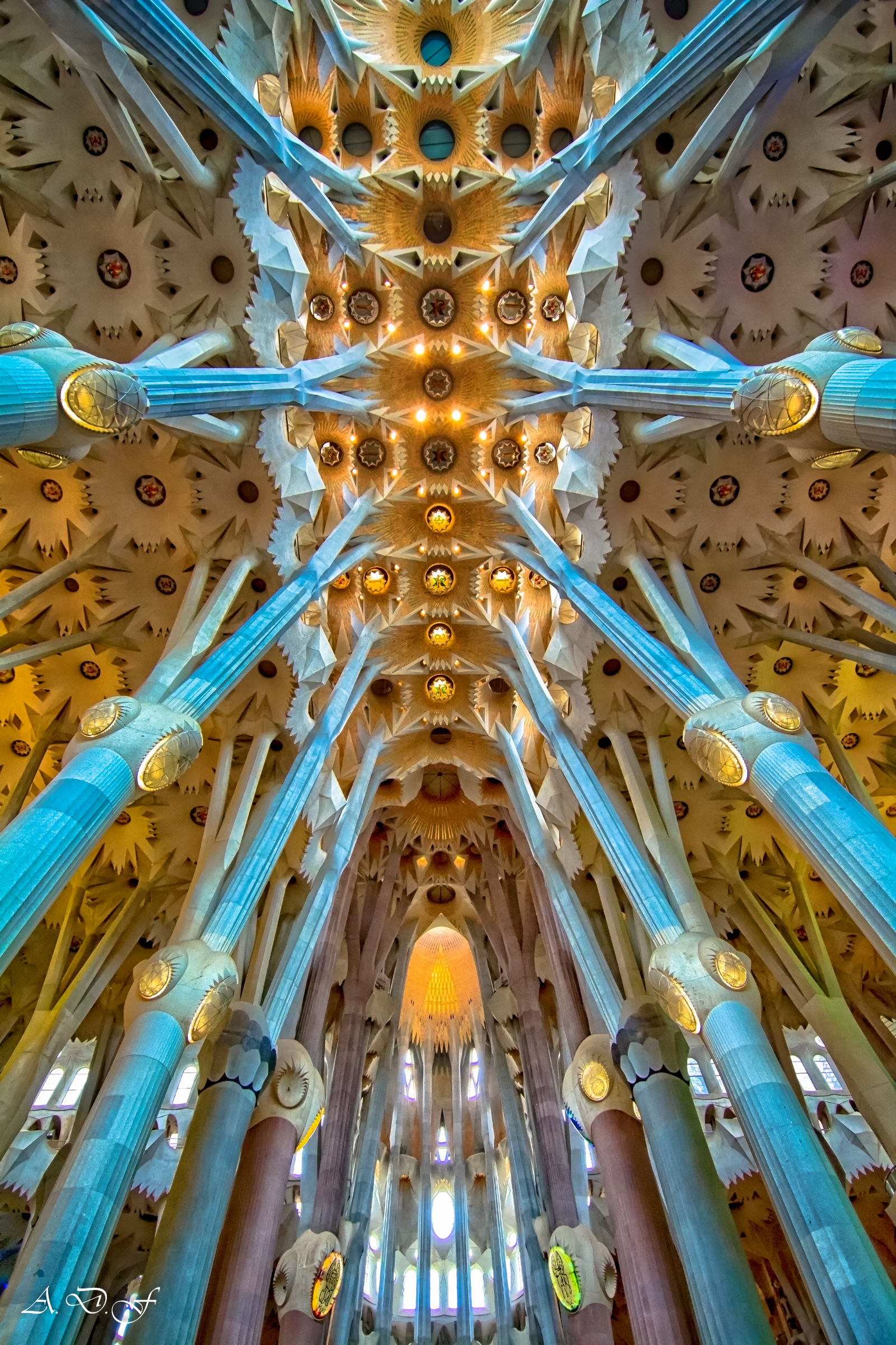La mia visione della Sagrada Familia(Barcelona)