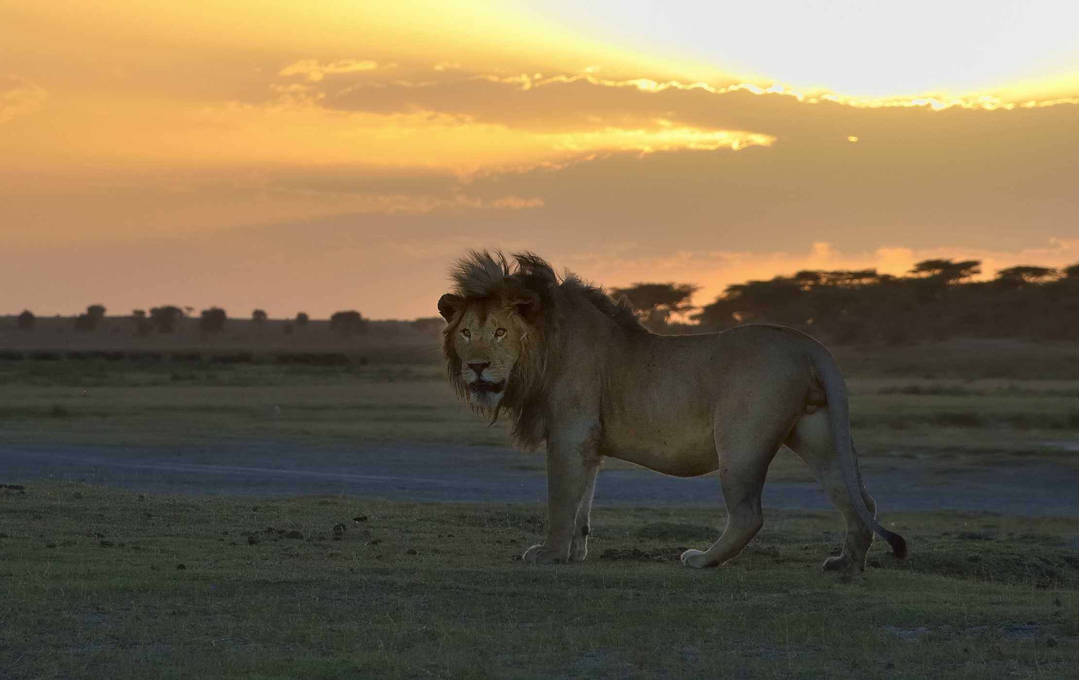 Tanzania 2015 - All'imbrunire