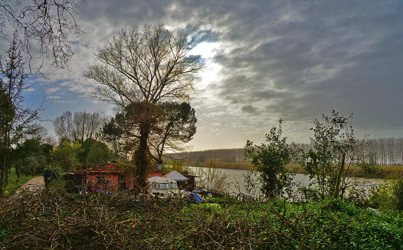 Verso la foce dell'Arno
