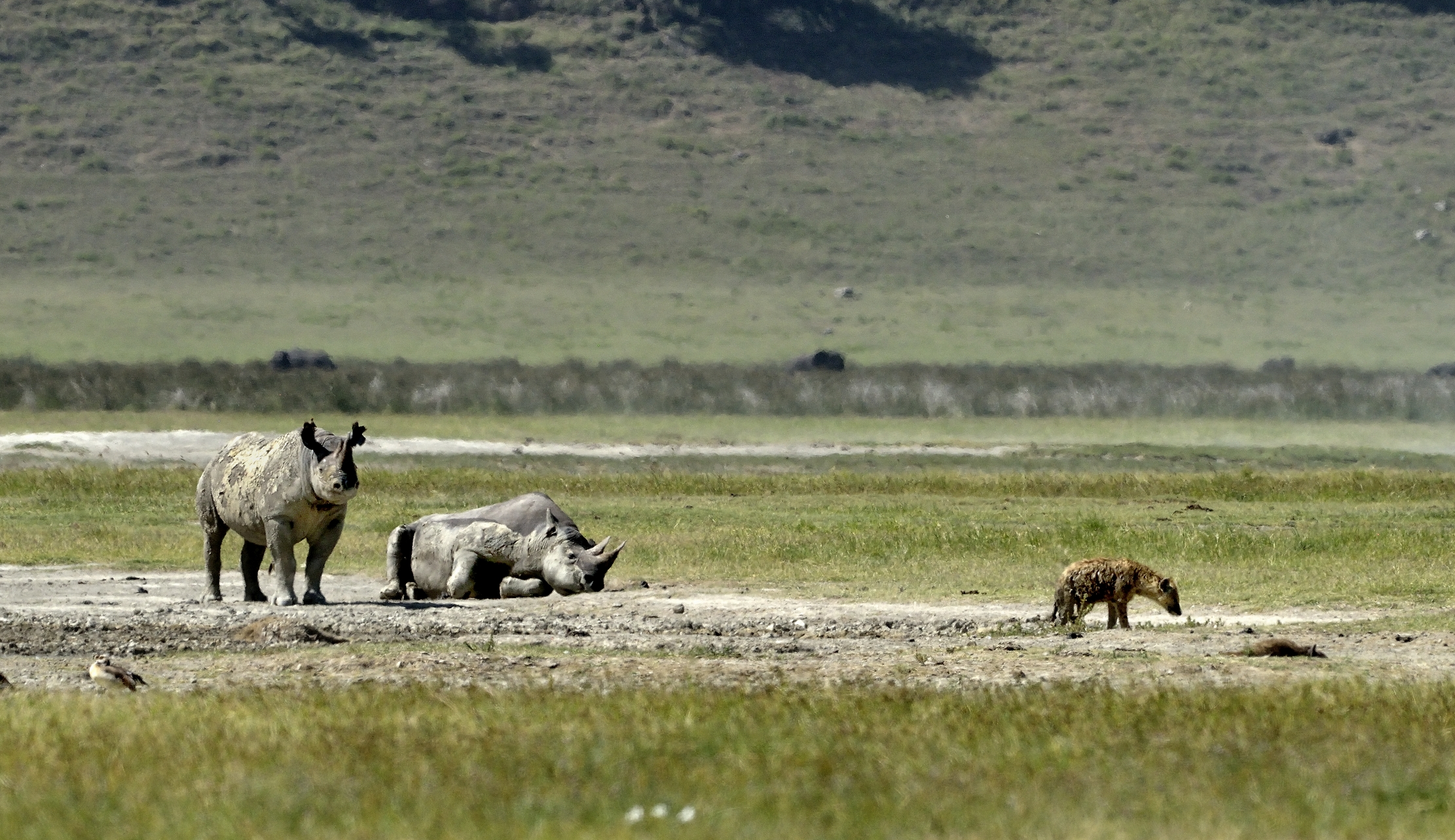 Tanzania 2015 - In lontananza lo strano terzetto