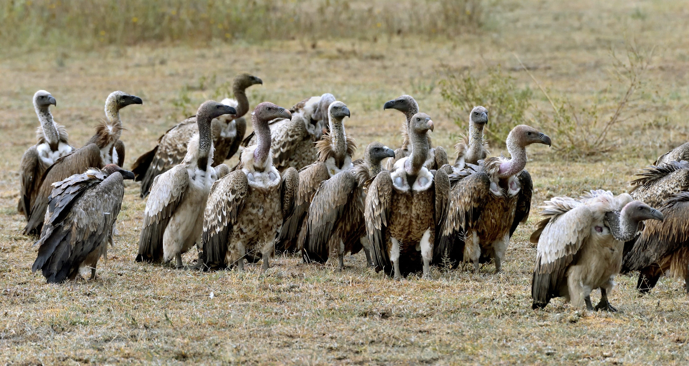 Tanzania 2015 - Adunata!!