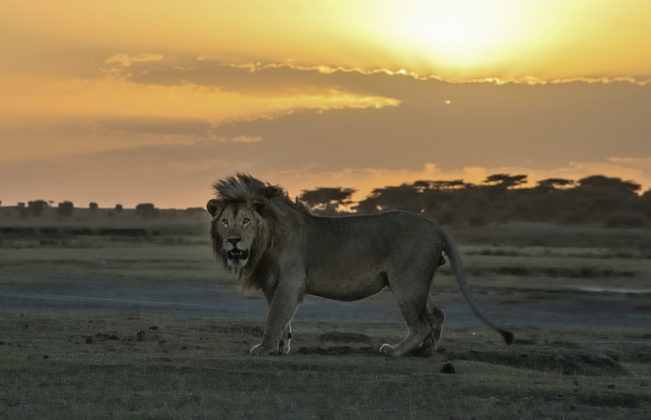 Tanzania 2015 - All'imbrunire 2