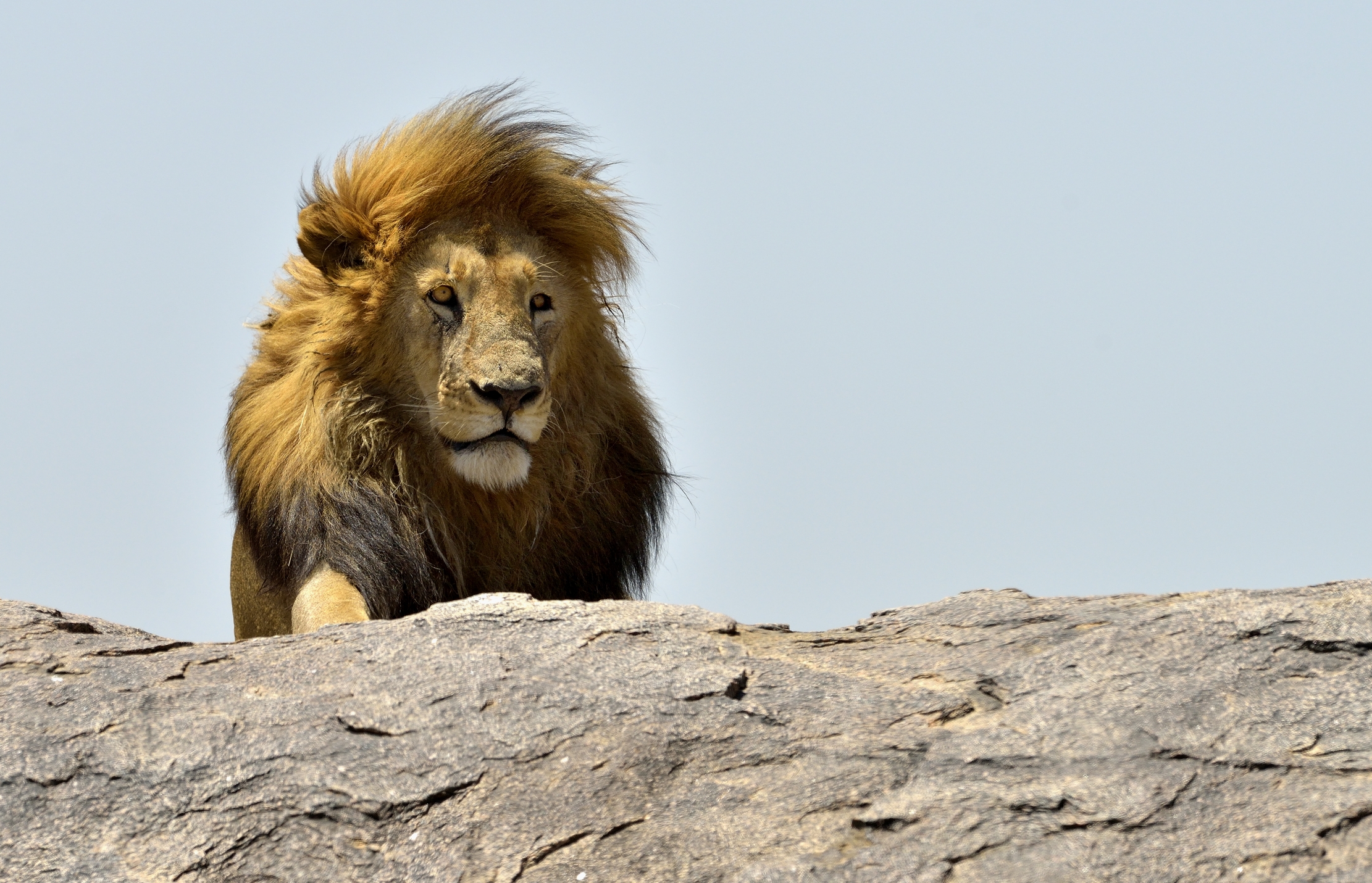 Tanzania 2015 - CapolOne