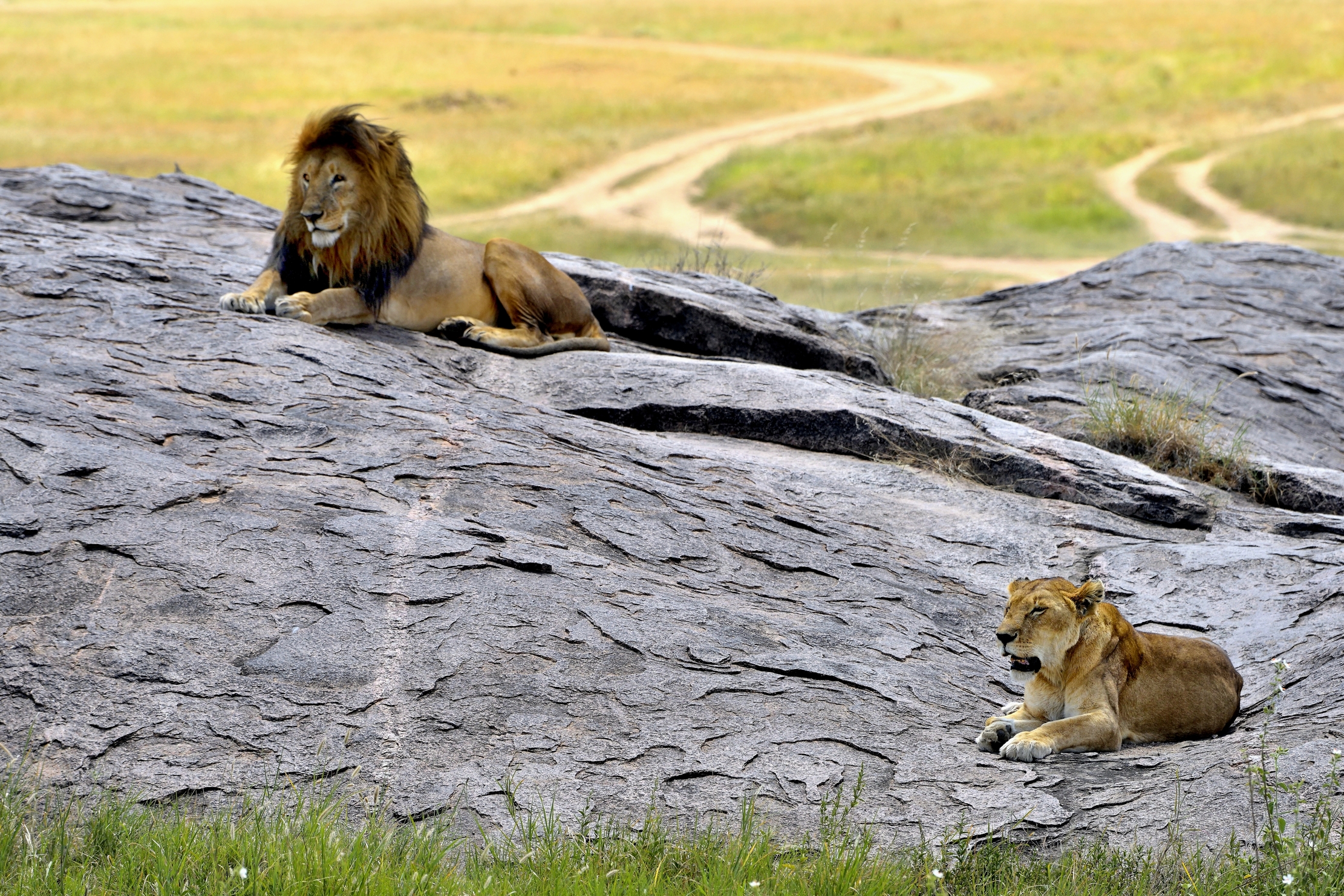 Tanzania 2015 - A distanza