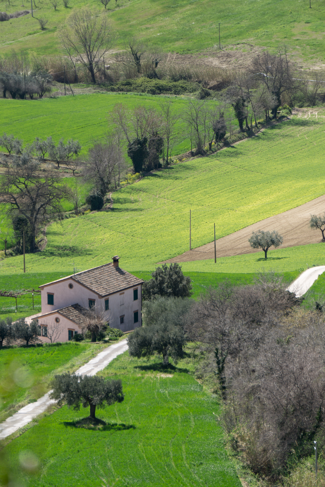 La campagna di Recanati