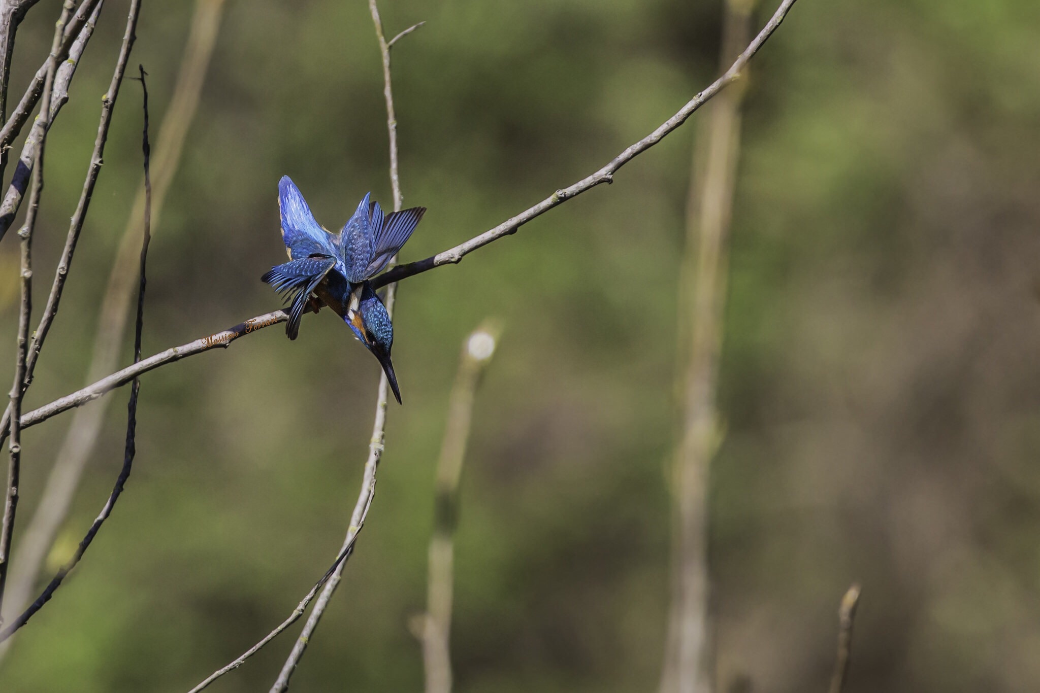 Giochi di equilibrismo