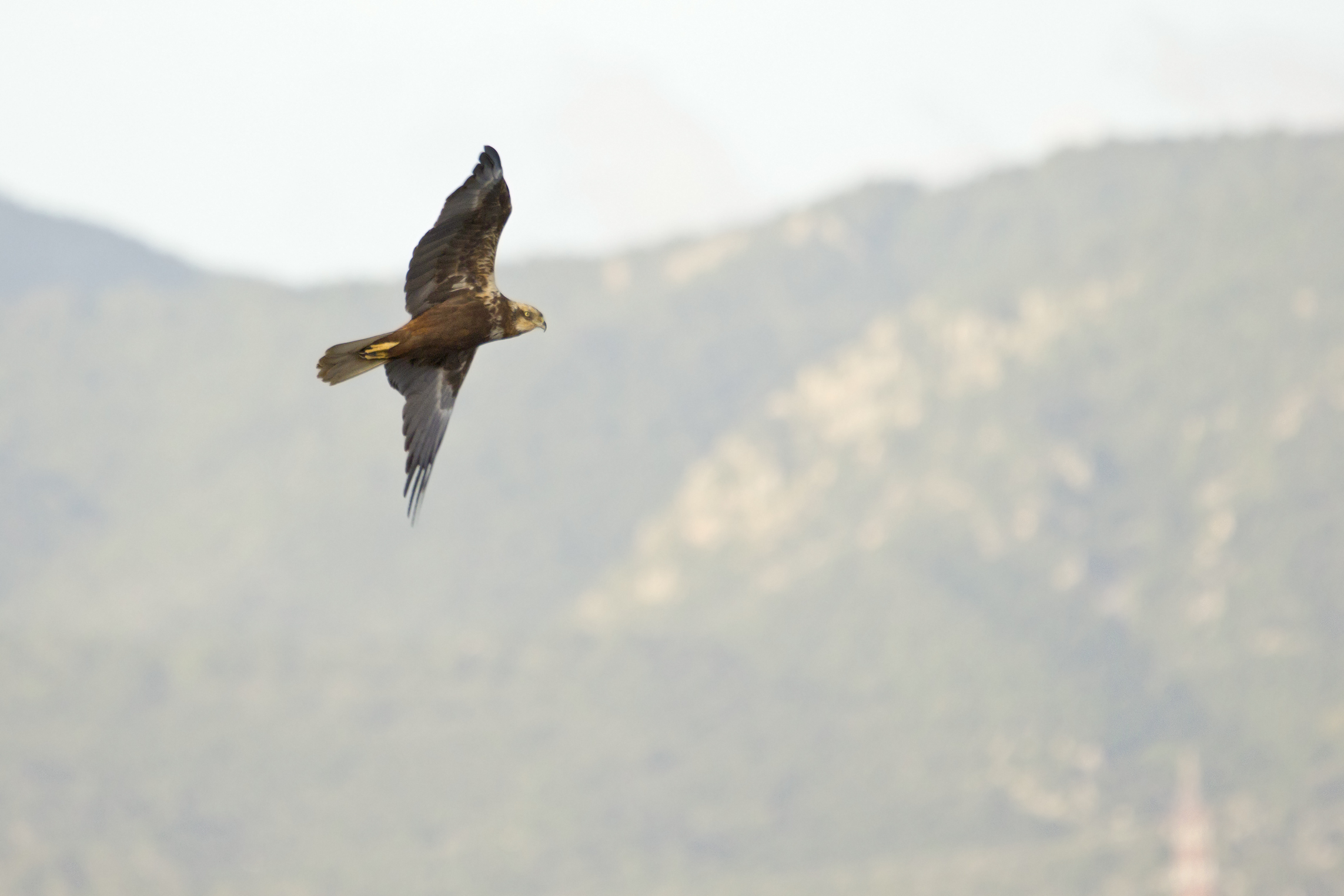 So do not take me ... the 400 is short