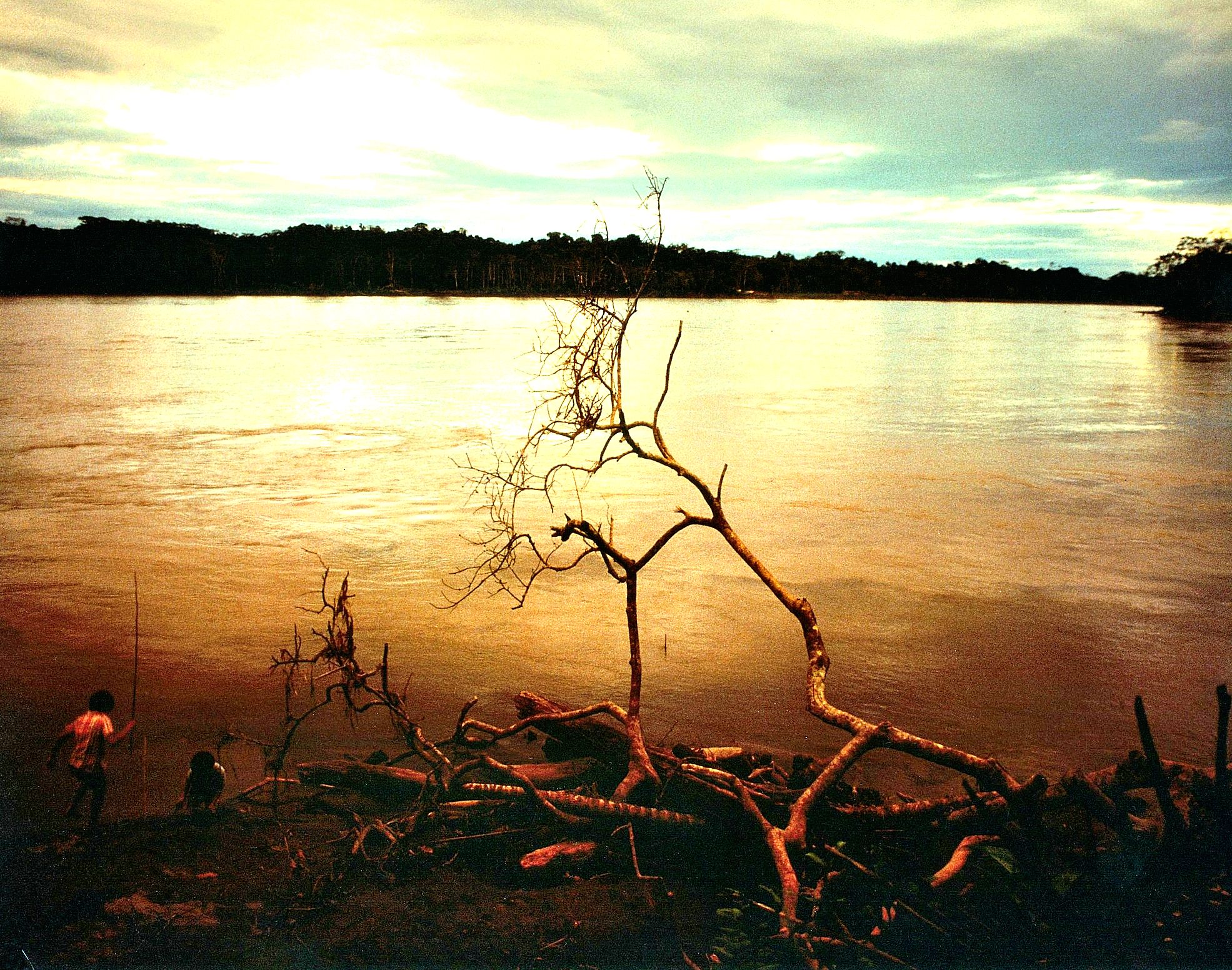 tramonto sull' Orinoco (91)