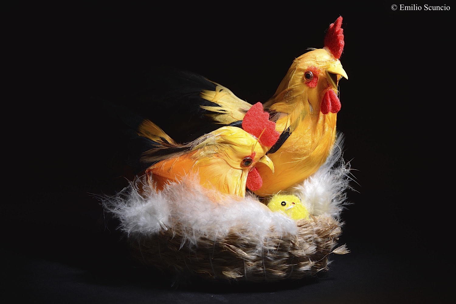 Pasqua 2015