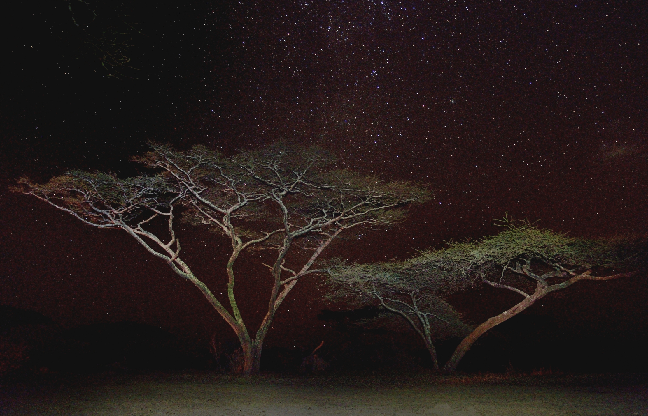Tanzania 2015 - Notturno 3 a Ndutuo