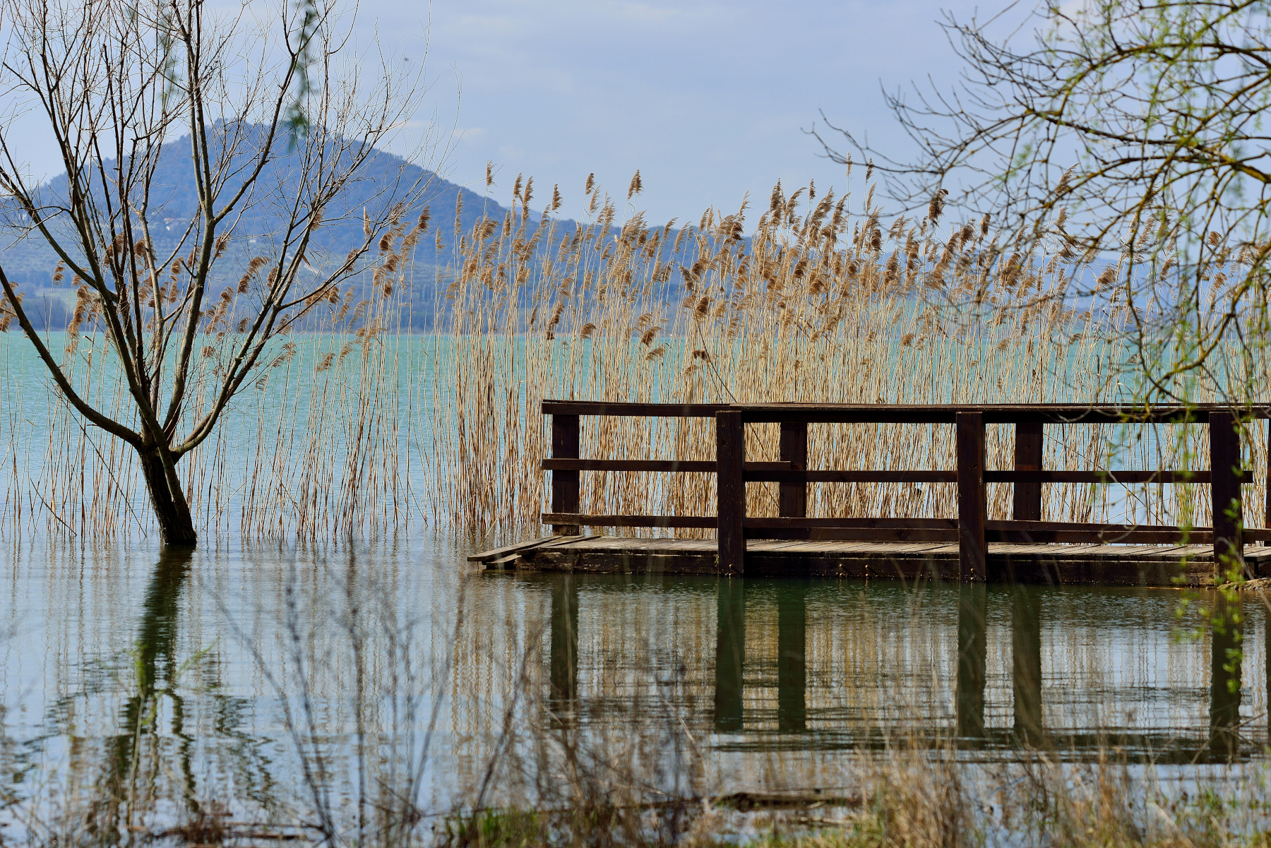 Lago Trasimeno