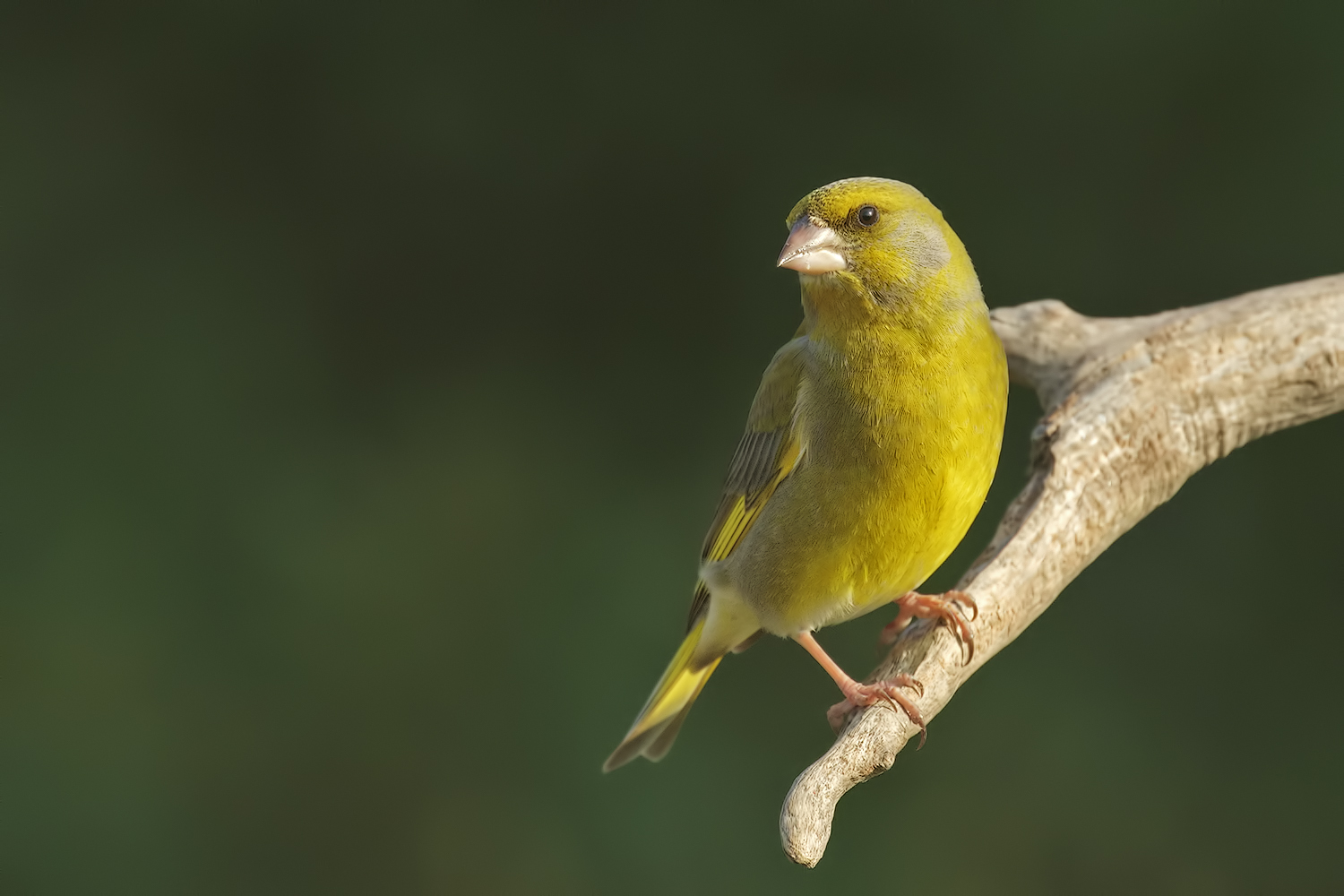 Questo è il mio profilo migliore