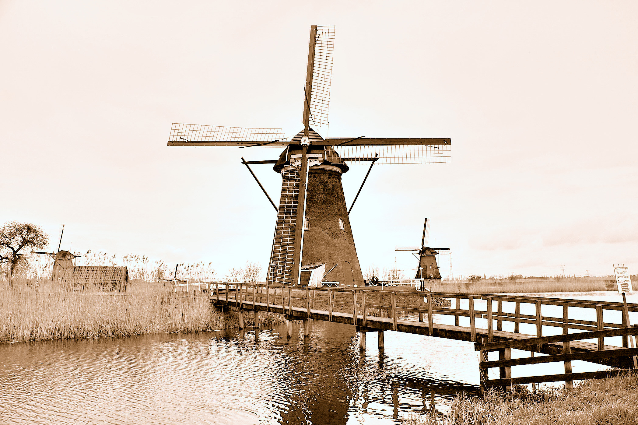 Kinderdijk e i mulini a vento