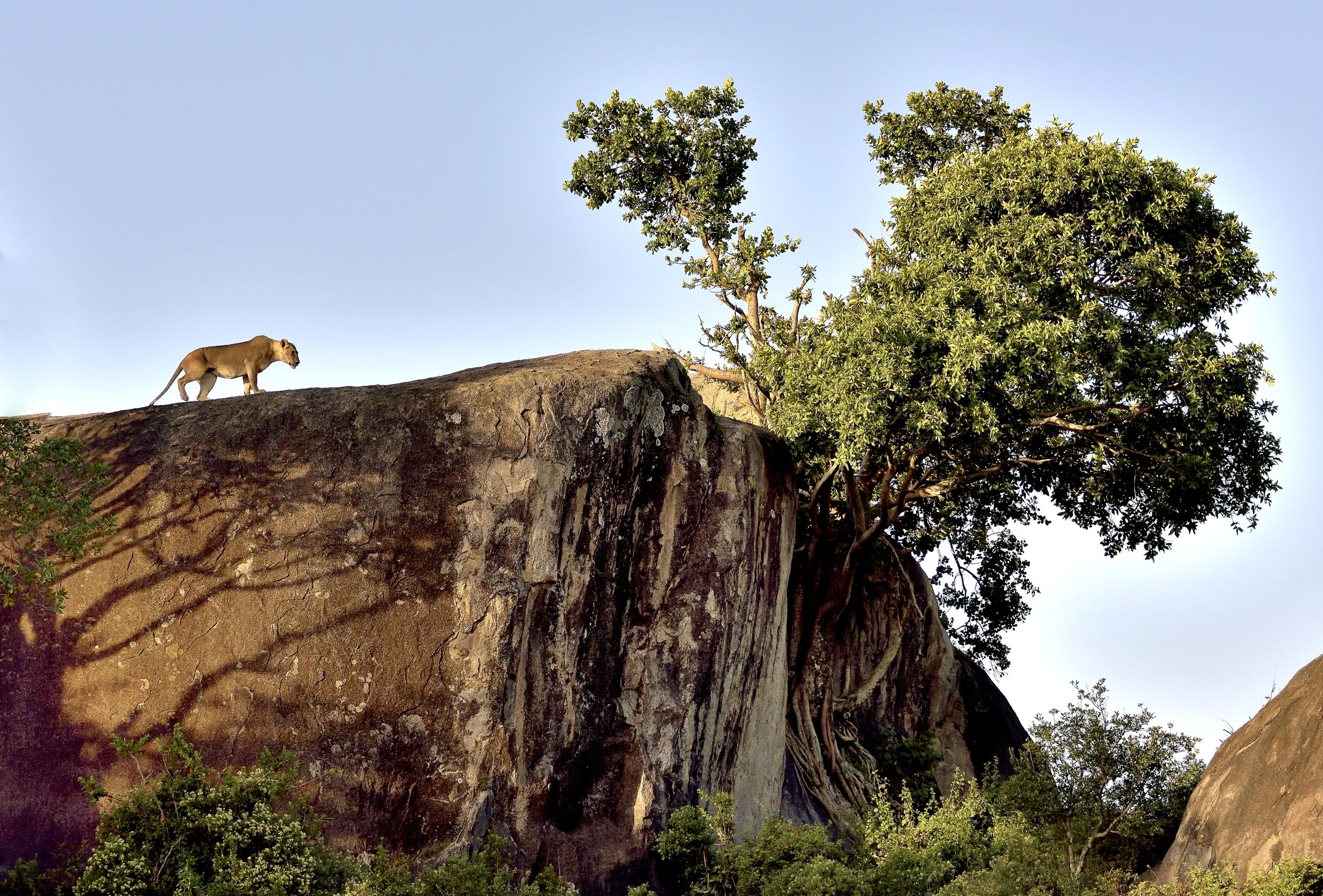 Tanzania 2015 - Al mattino
