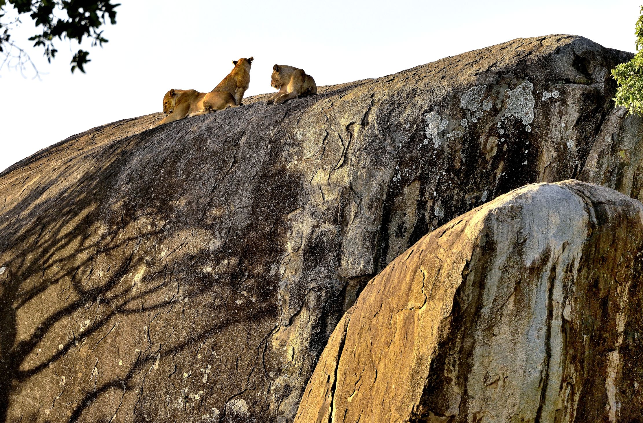 Tanzania 2015 - Lassù