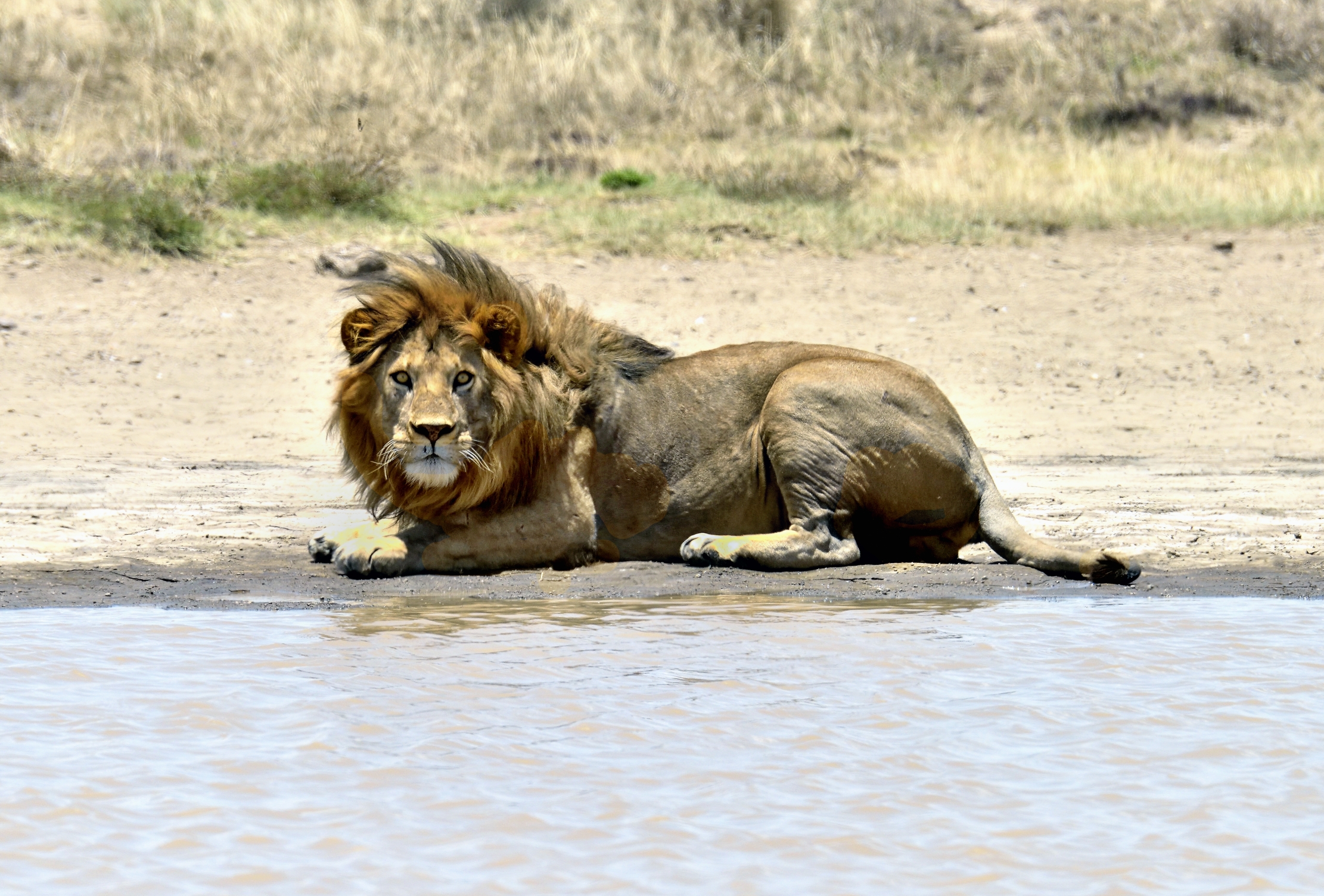 Tanzania 2015 - In allerta sul lago