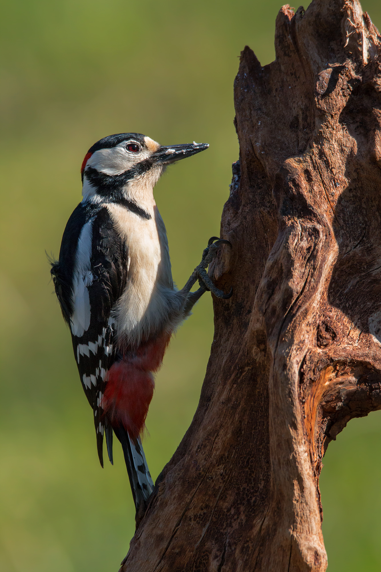 Please wipe your mouth after eating