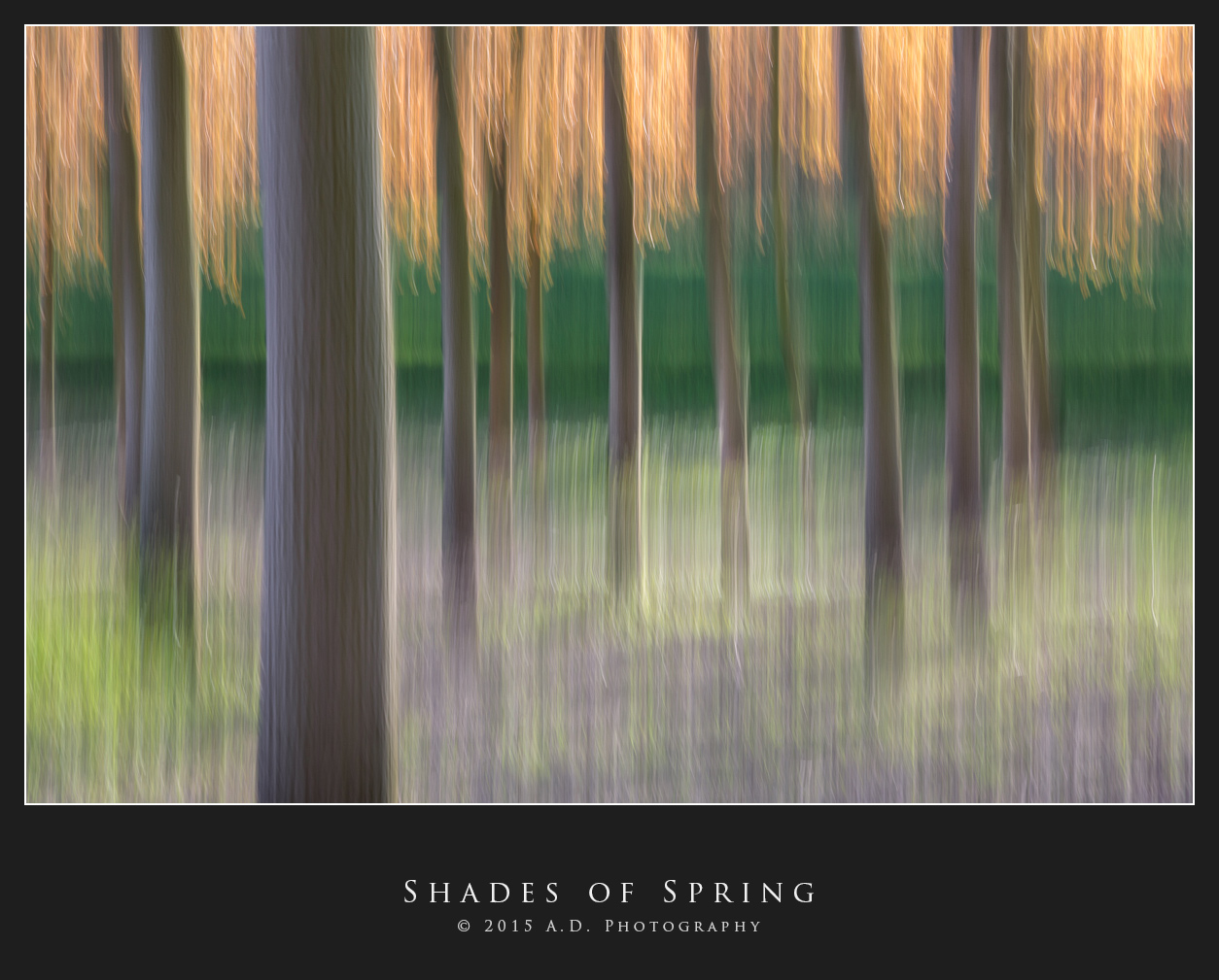 Shades of Spring