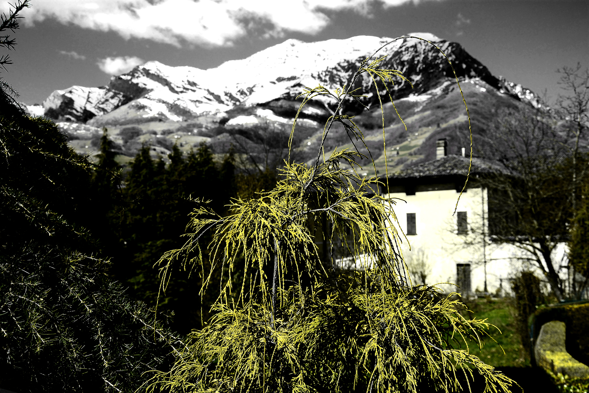 la primavera avanza  sull'inverno.