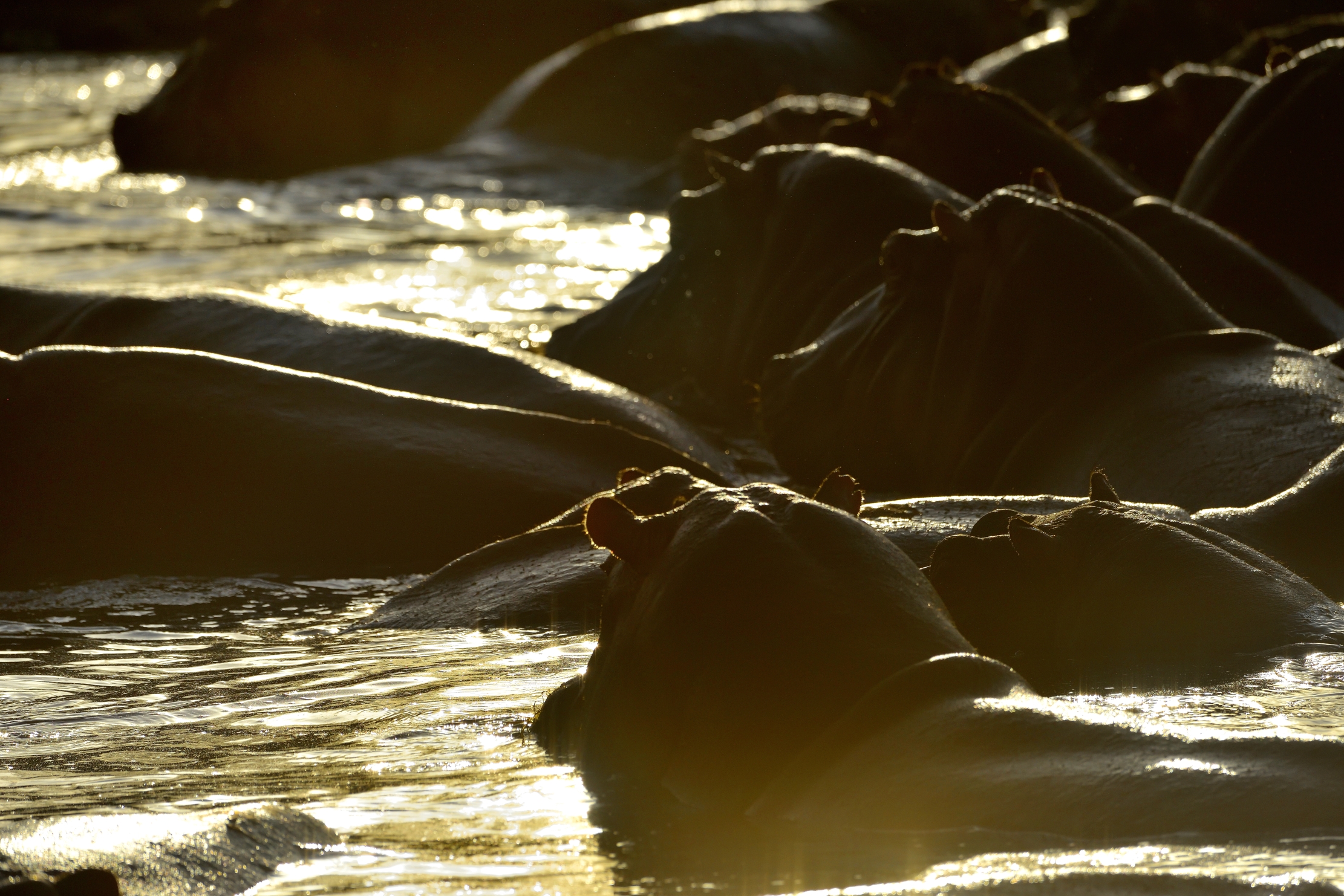 Tanzania 2015 - Tramonto